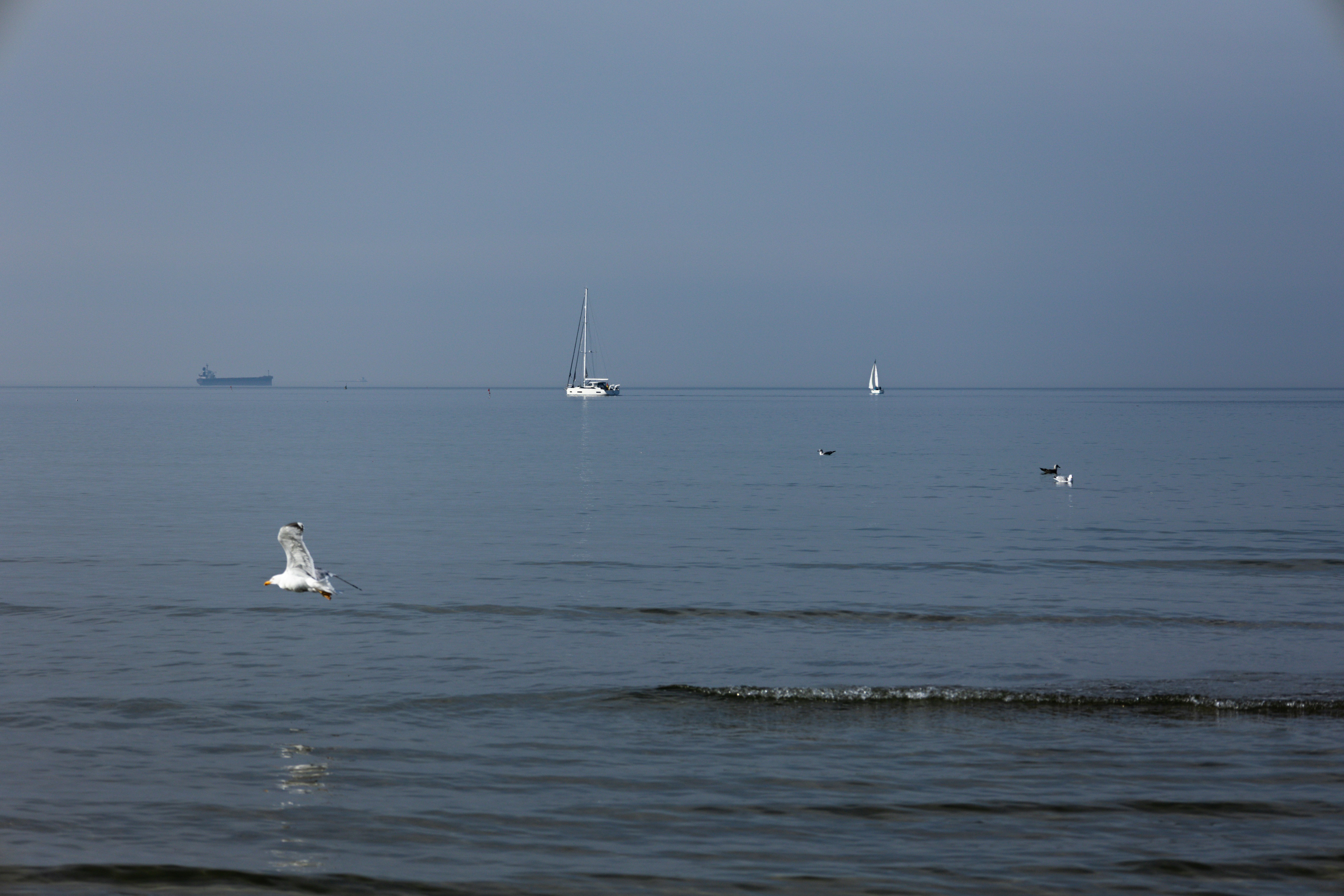 Photo by stefaniejockschat