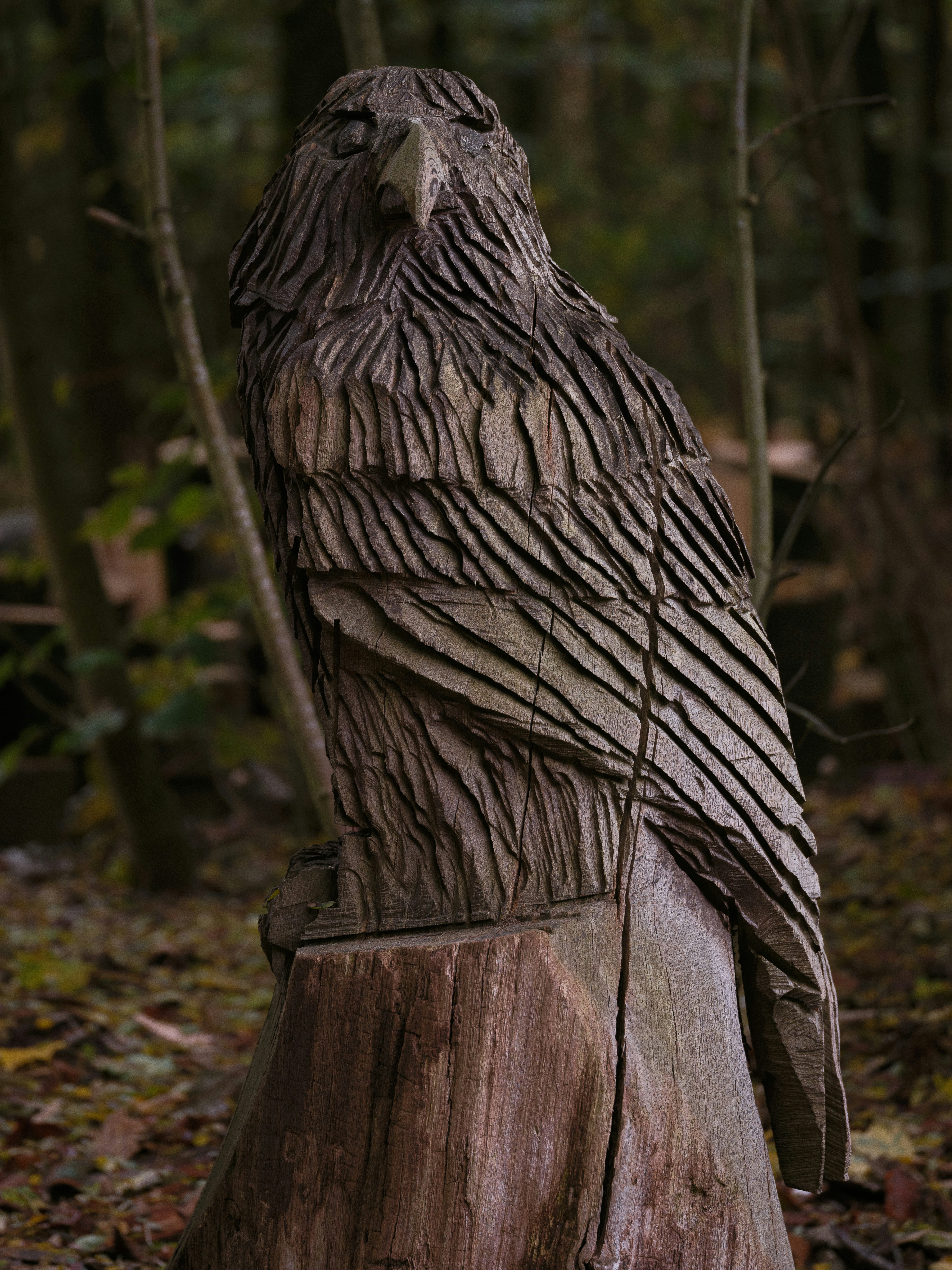 Wooden eagle sculpture on a tree stump in forest