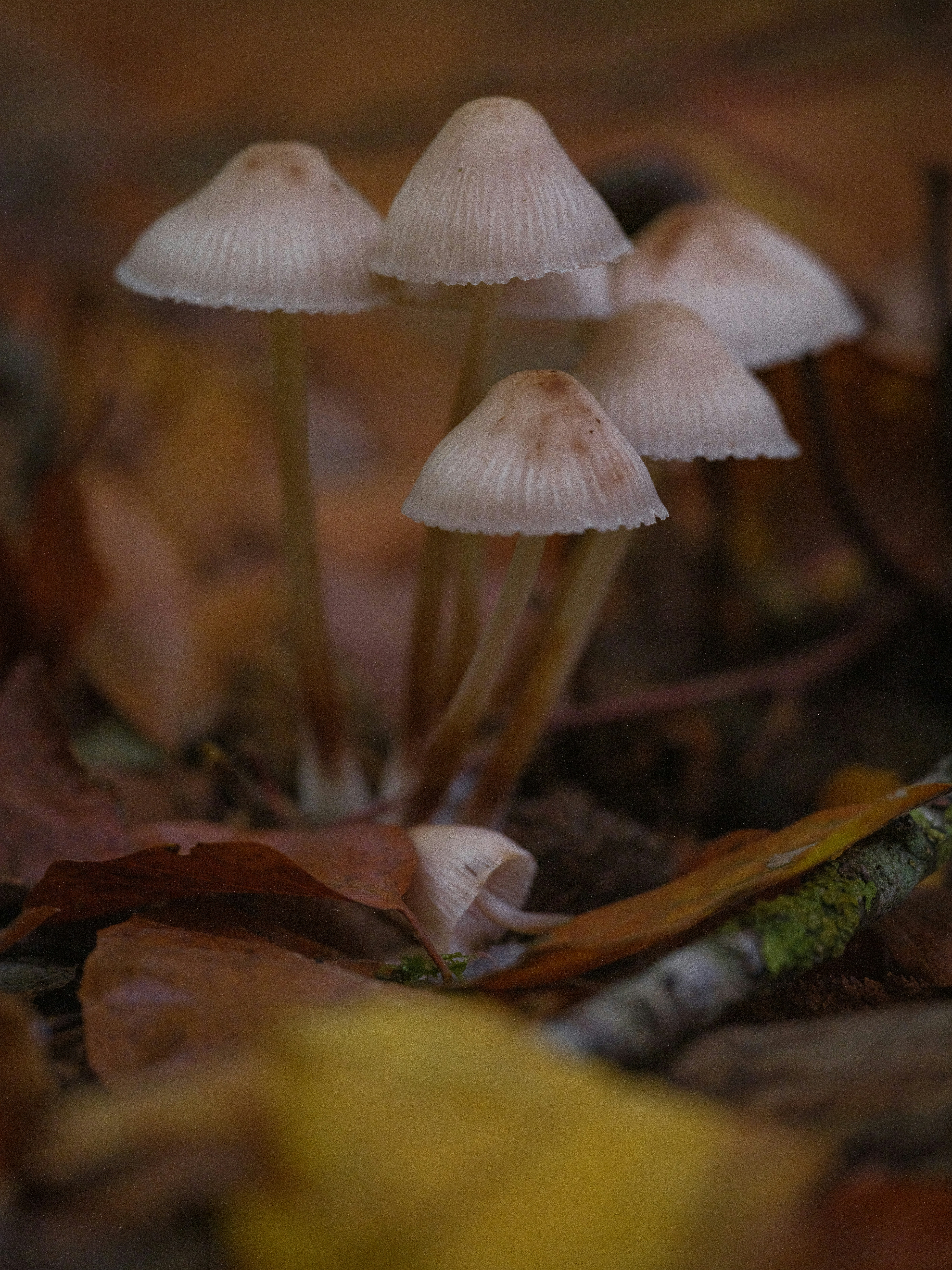 Photo by haberdoedas