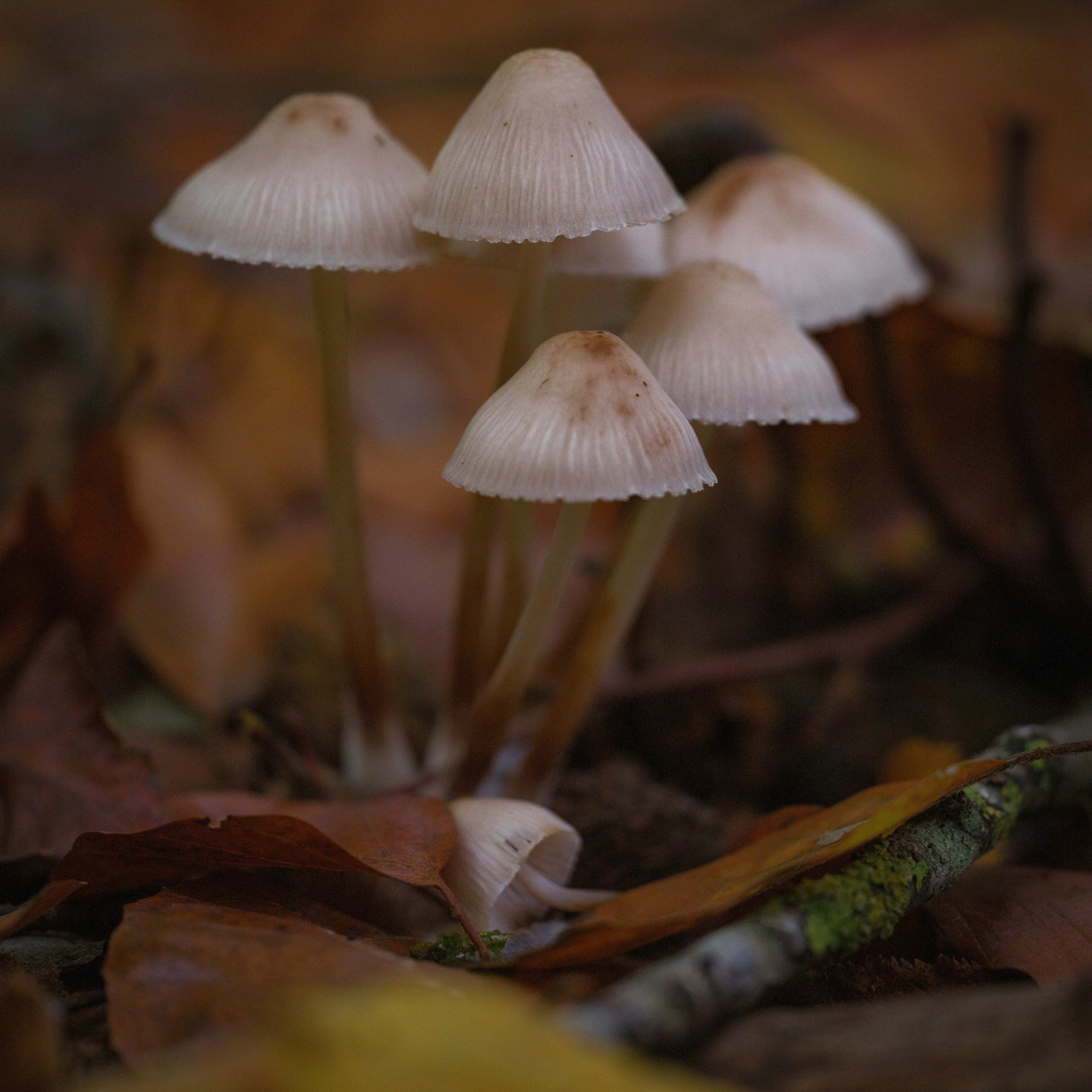 Photo by haberdoedas