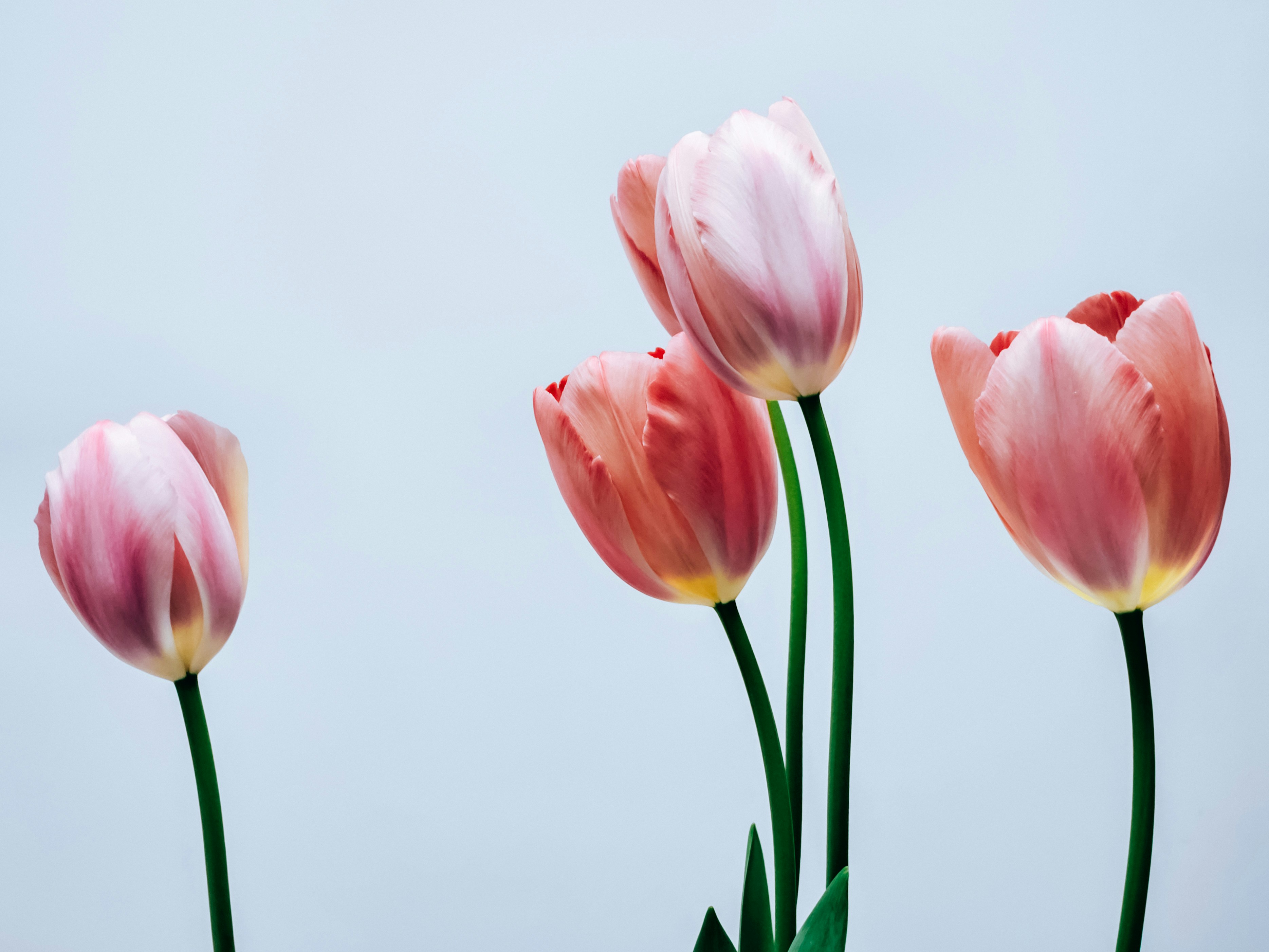 Photo by hypocriteeeee