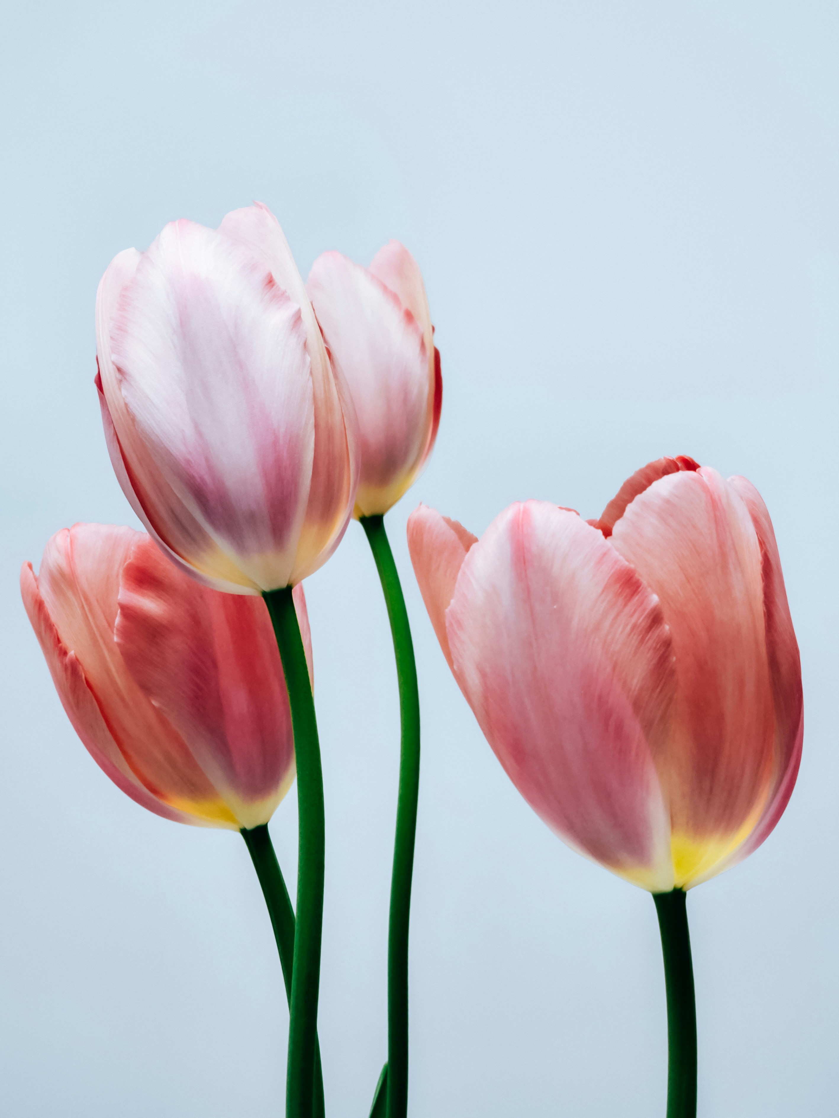 Photo by hypocriteeeee