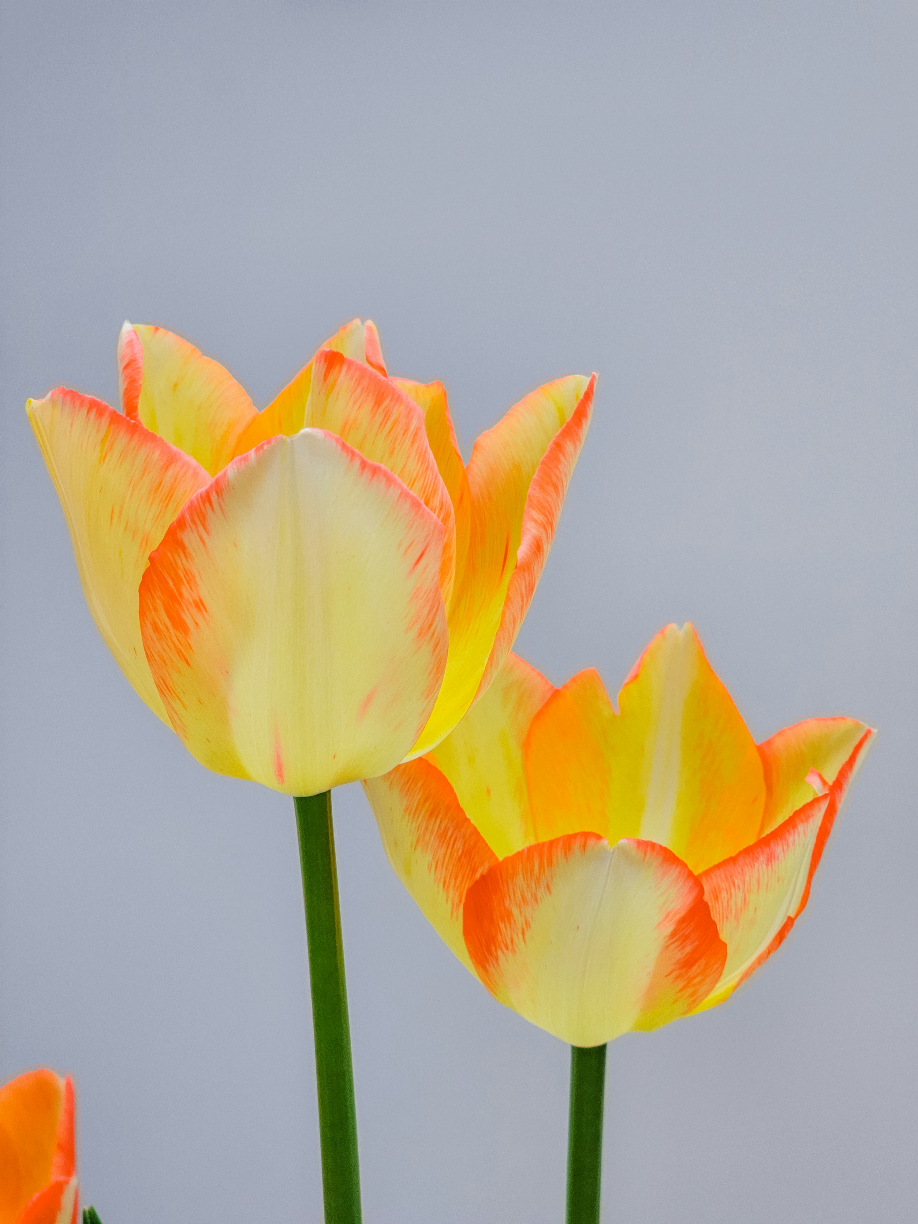 Photo by hypocriteeeee