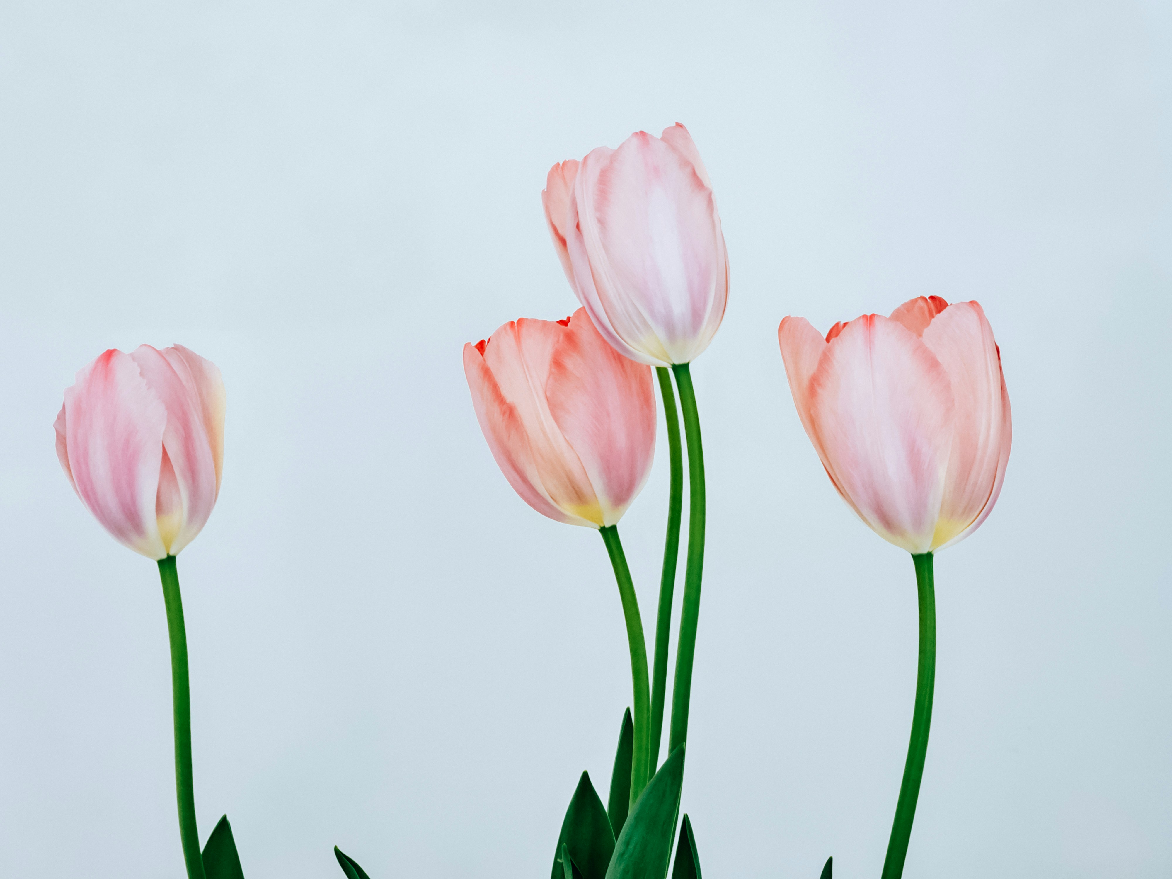 Photo by hypocriteeeee