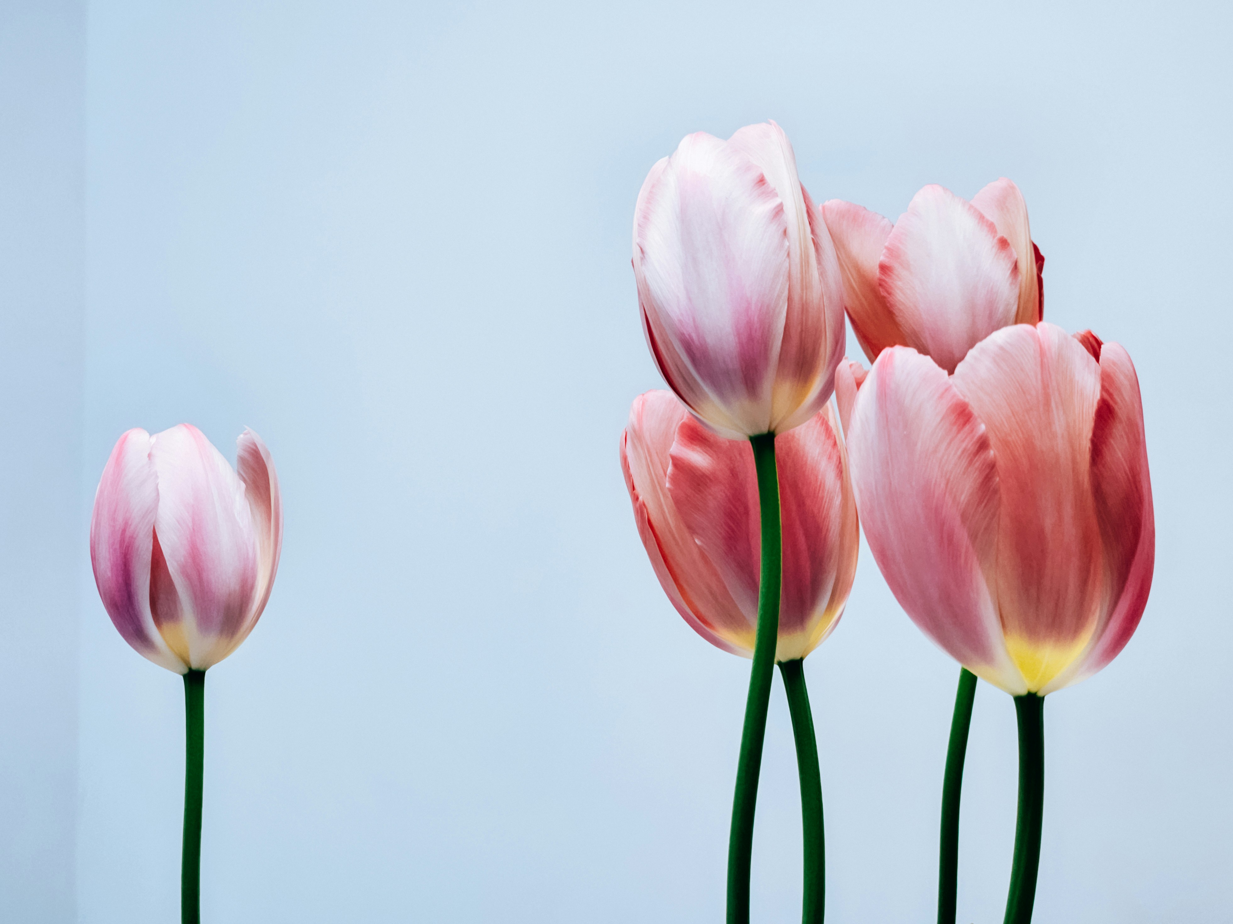 Photo by hypocriteeeee