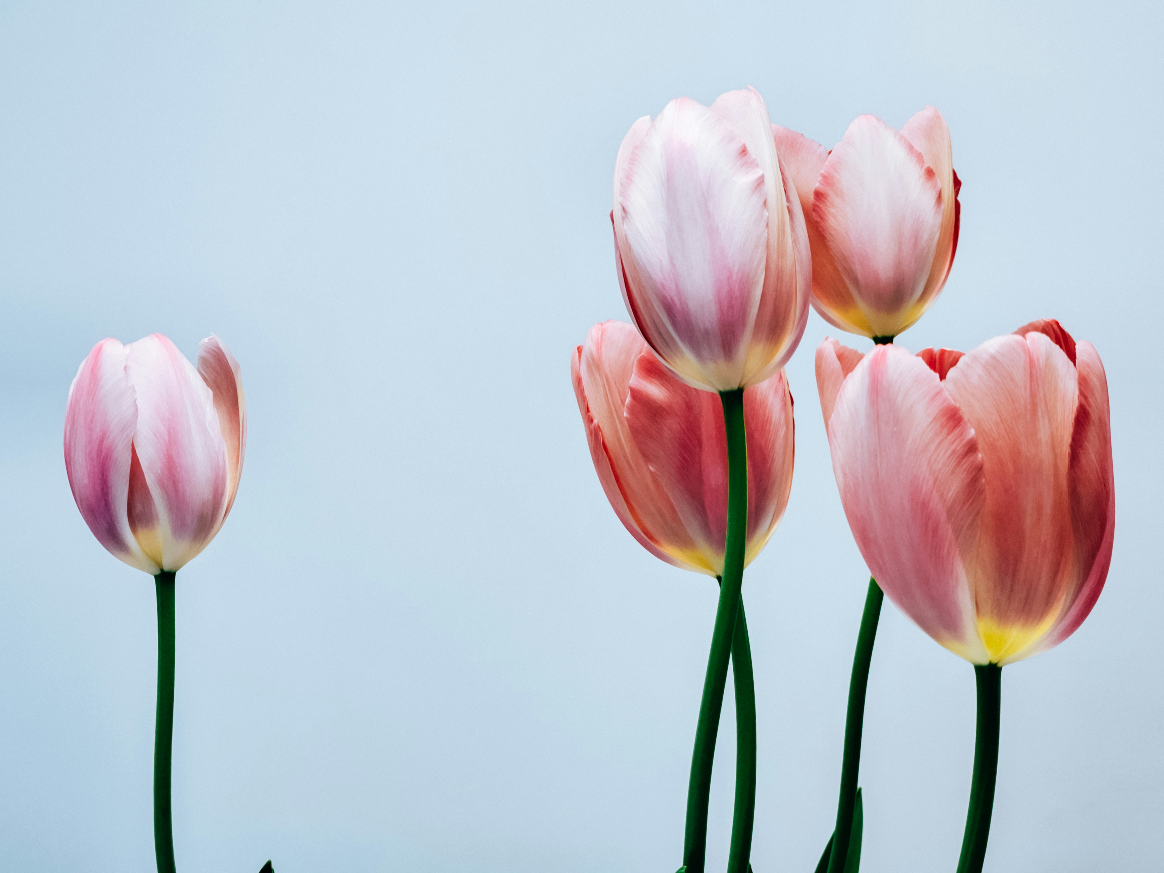 Photo by hypocriteeeee