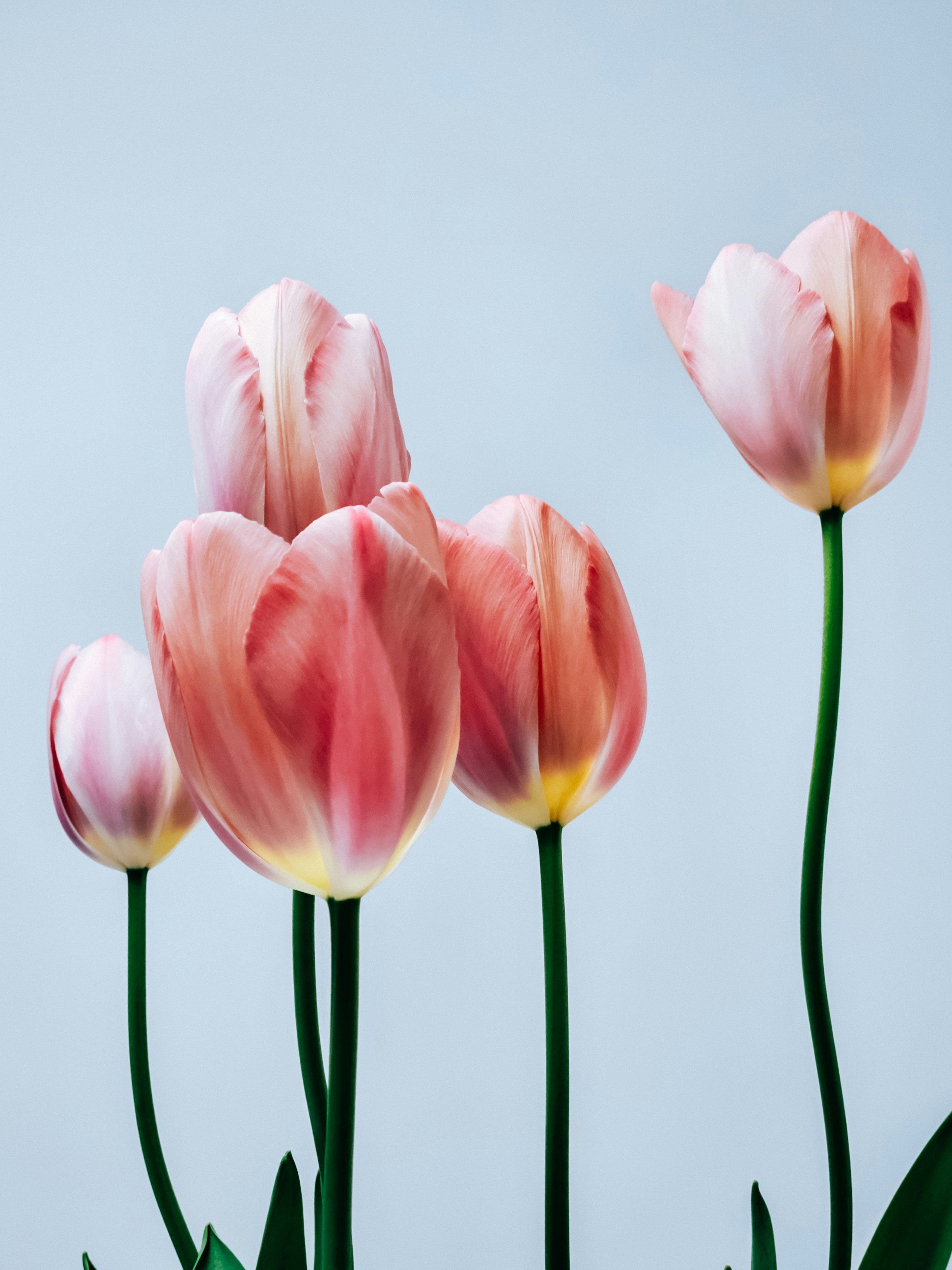 Photo by hypocriteeeee