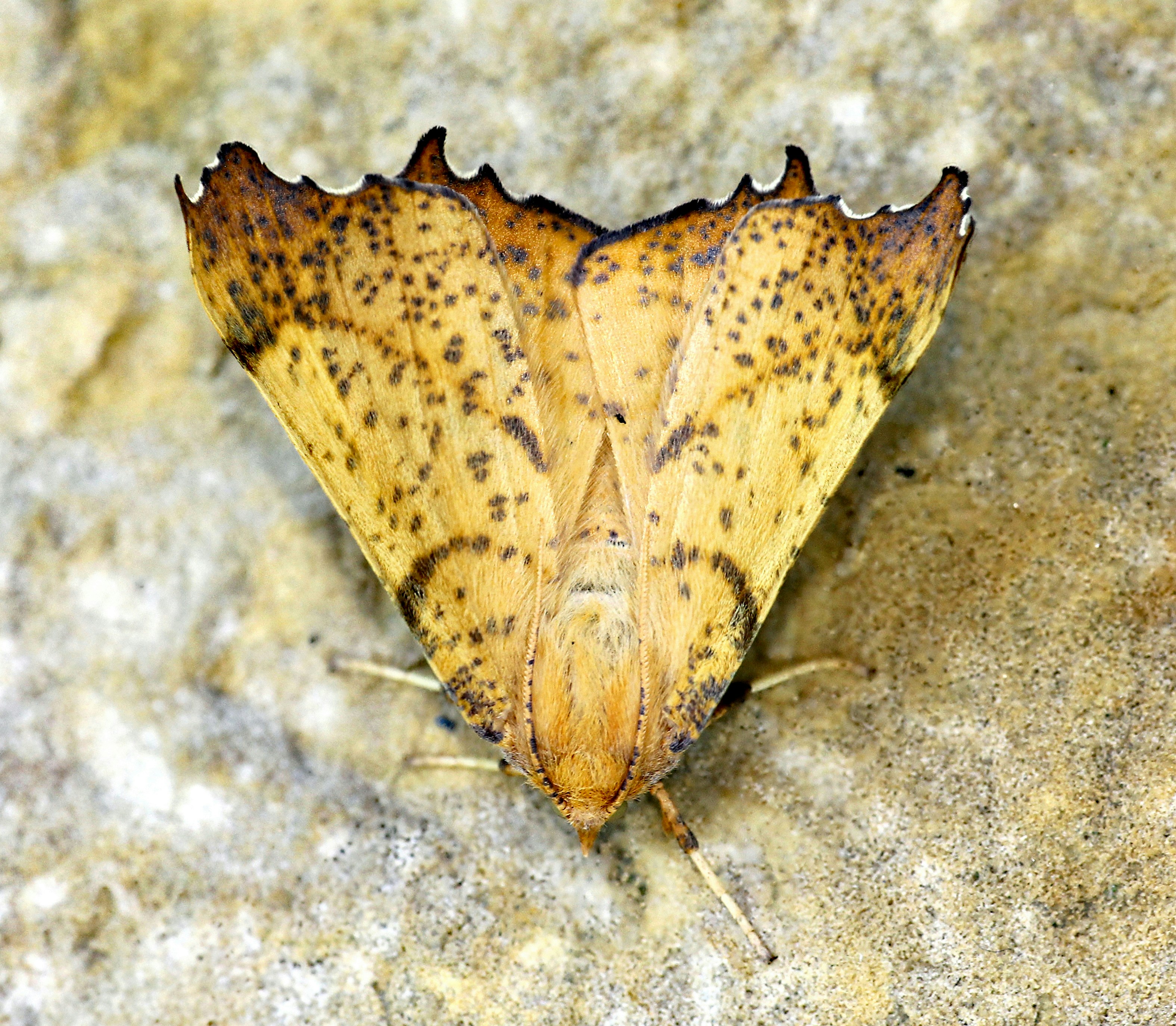 Photo by telliottmbamsc