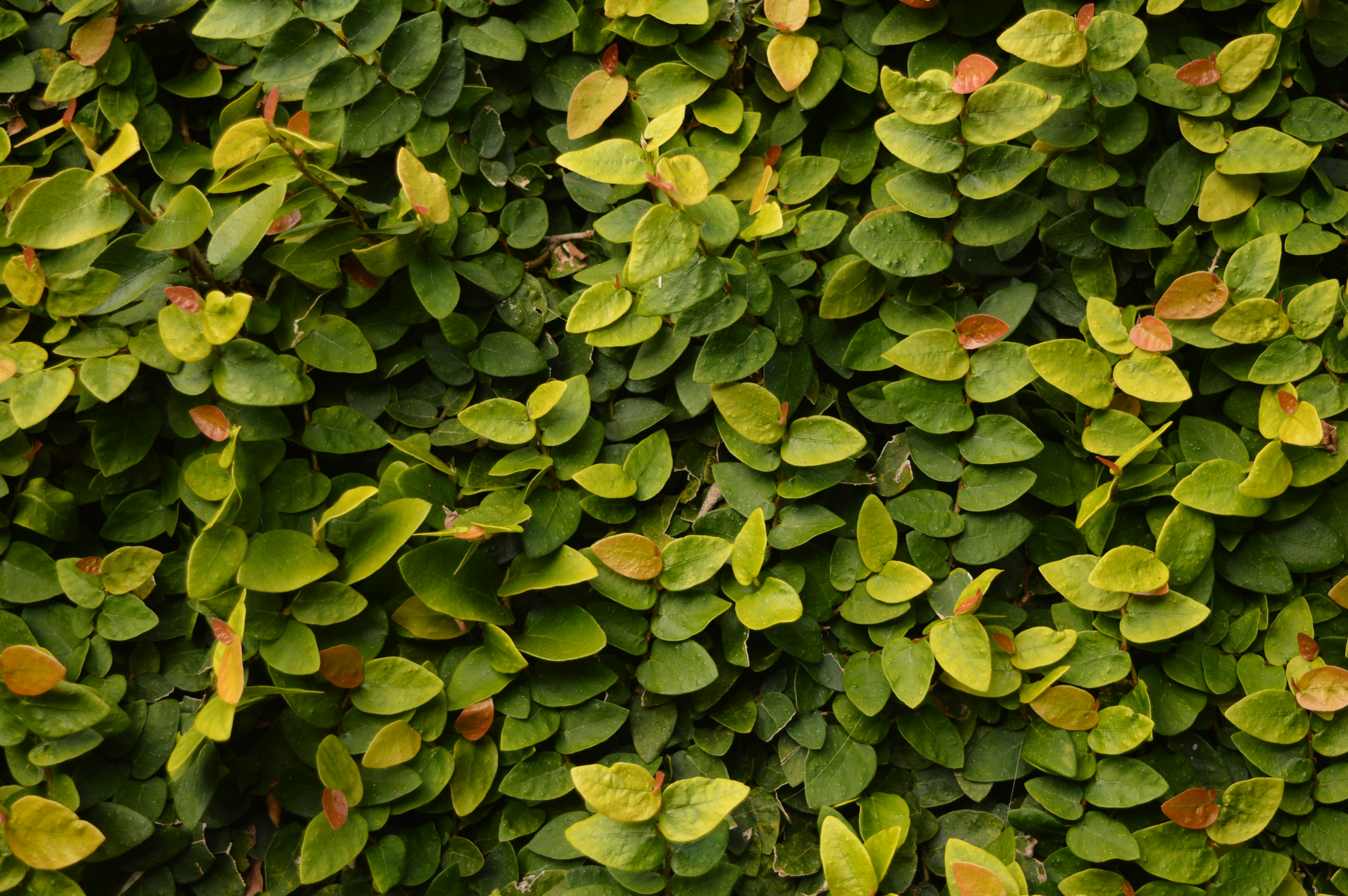 Photo by natali00198