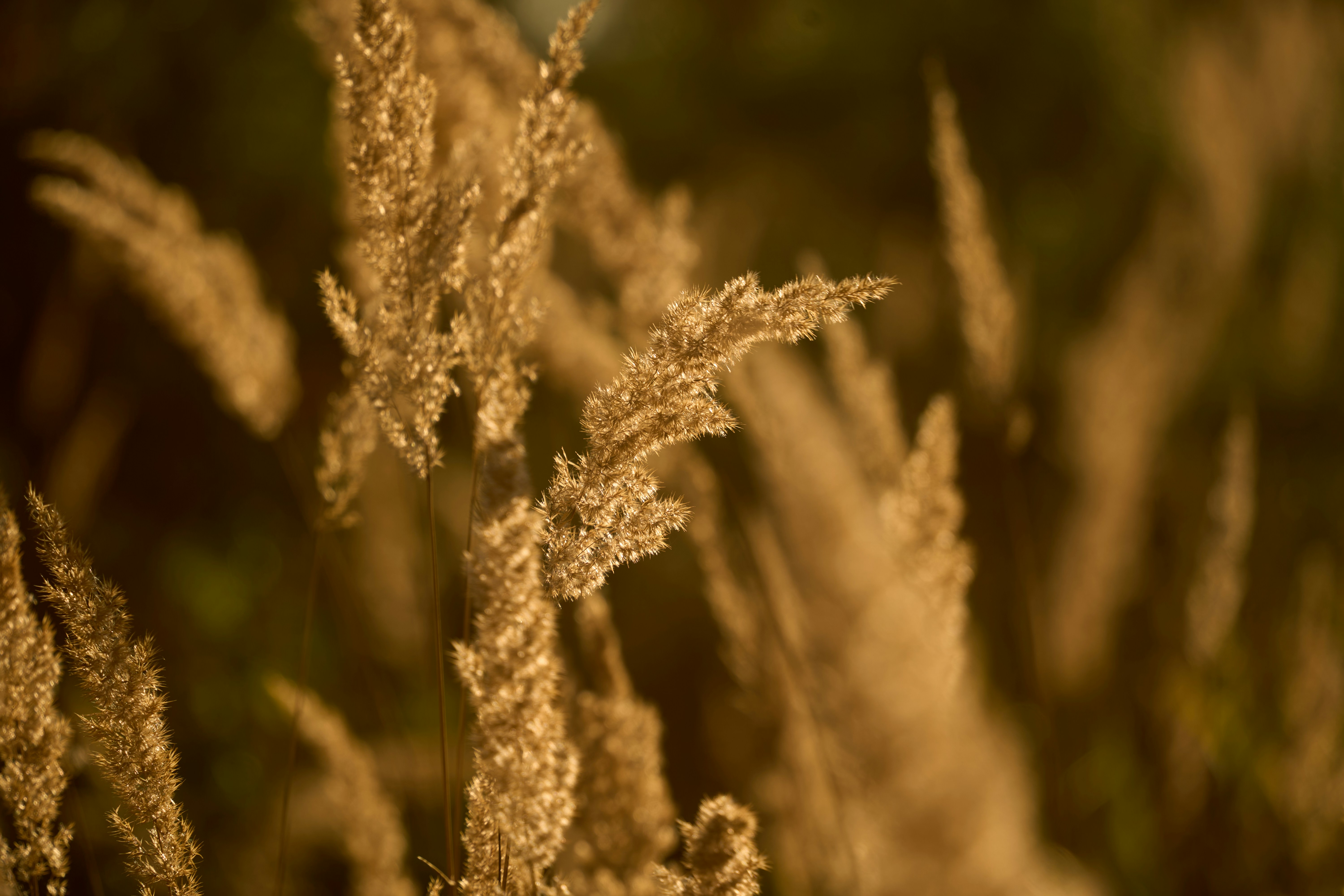 Photo by slenderrowantree