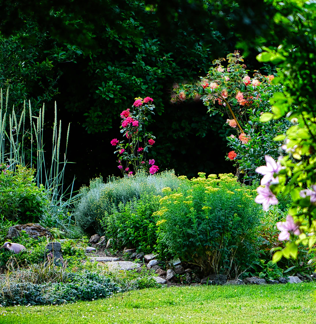 Gardens & Native Plants in McLean, VA