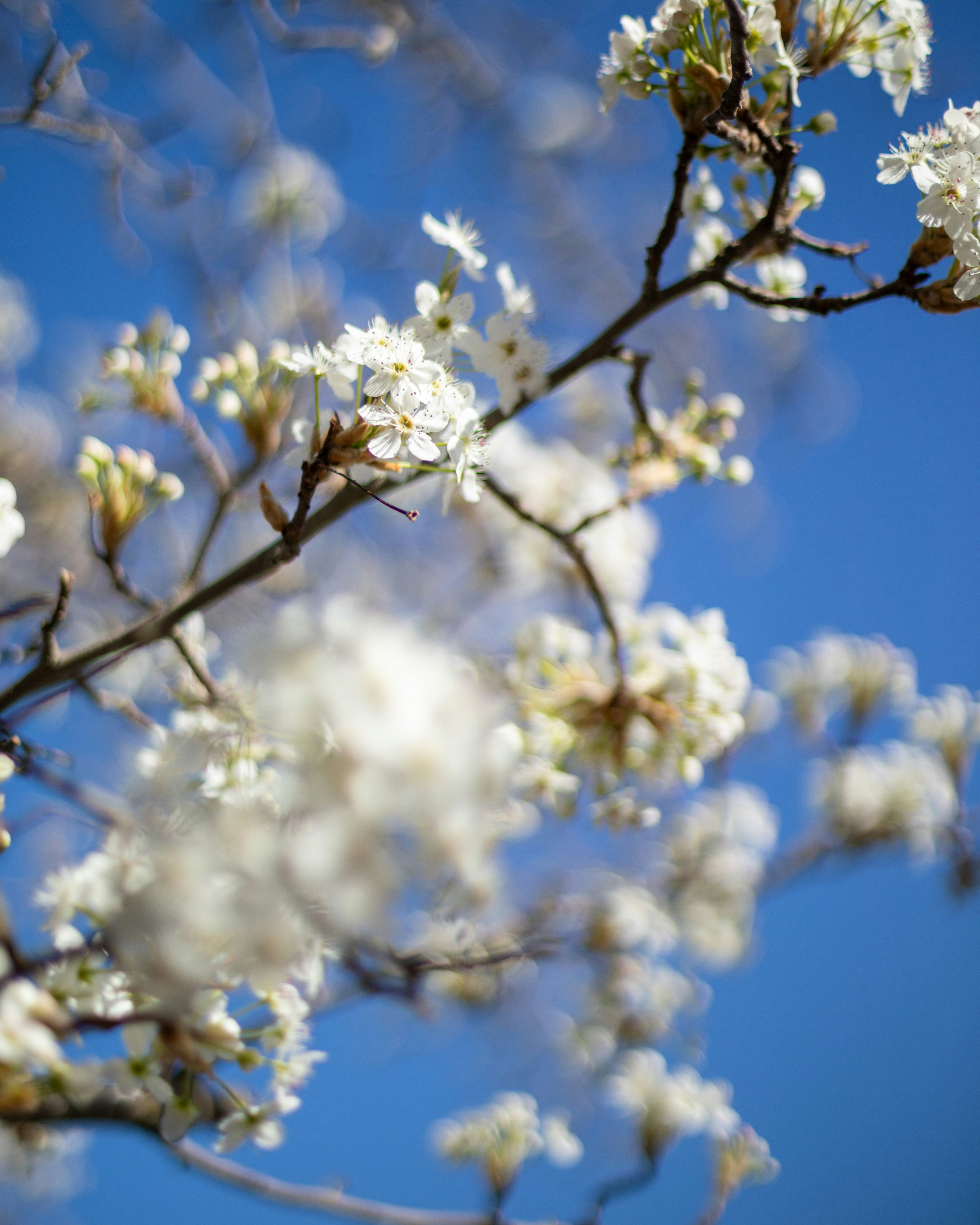 Photo by sixteenmilesout