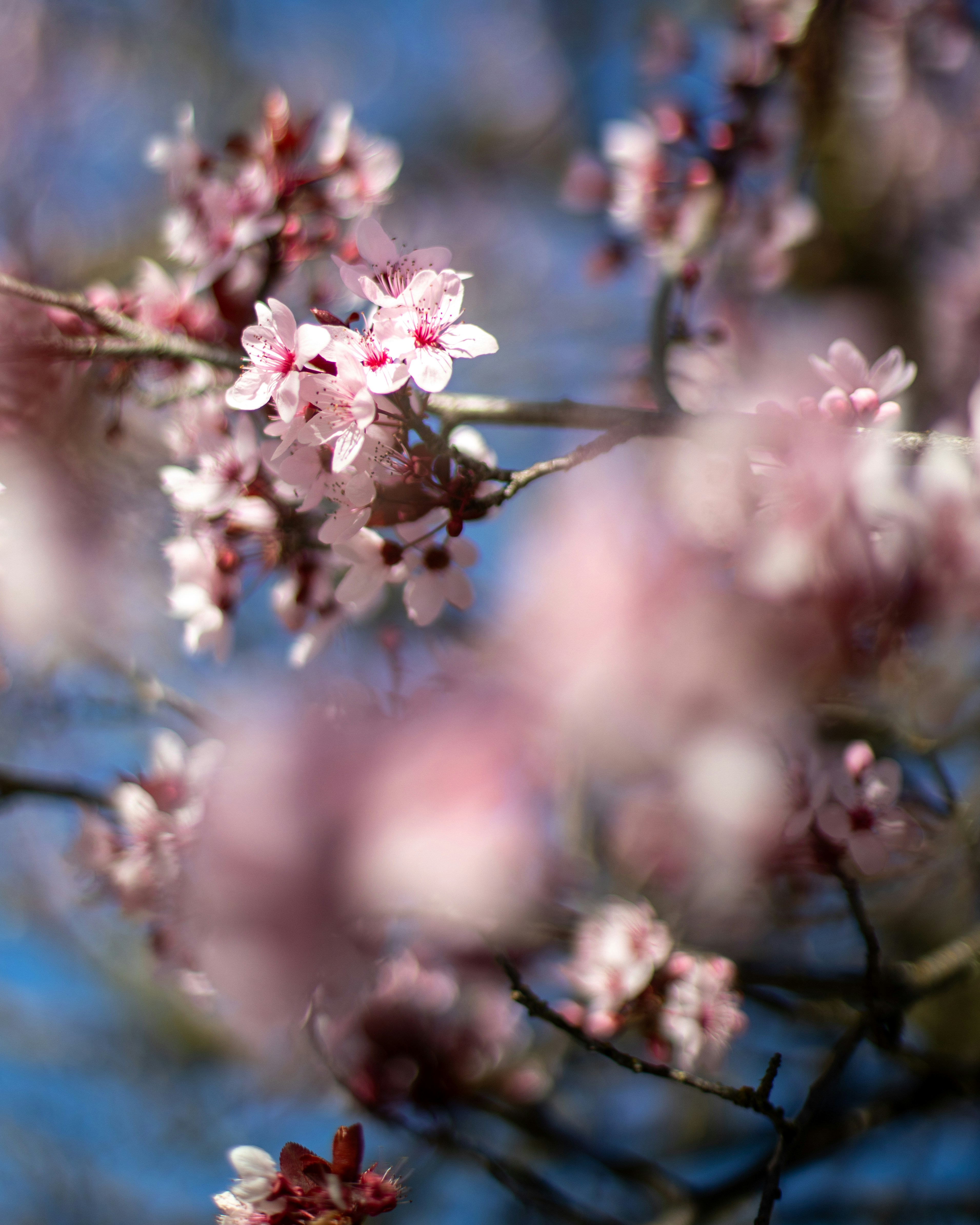 Photo by sixteenmilesout