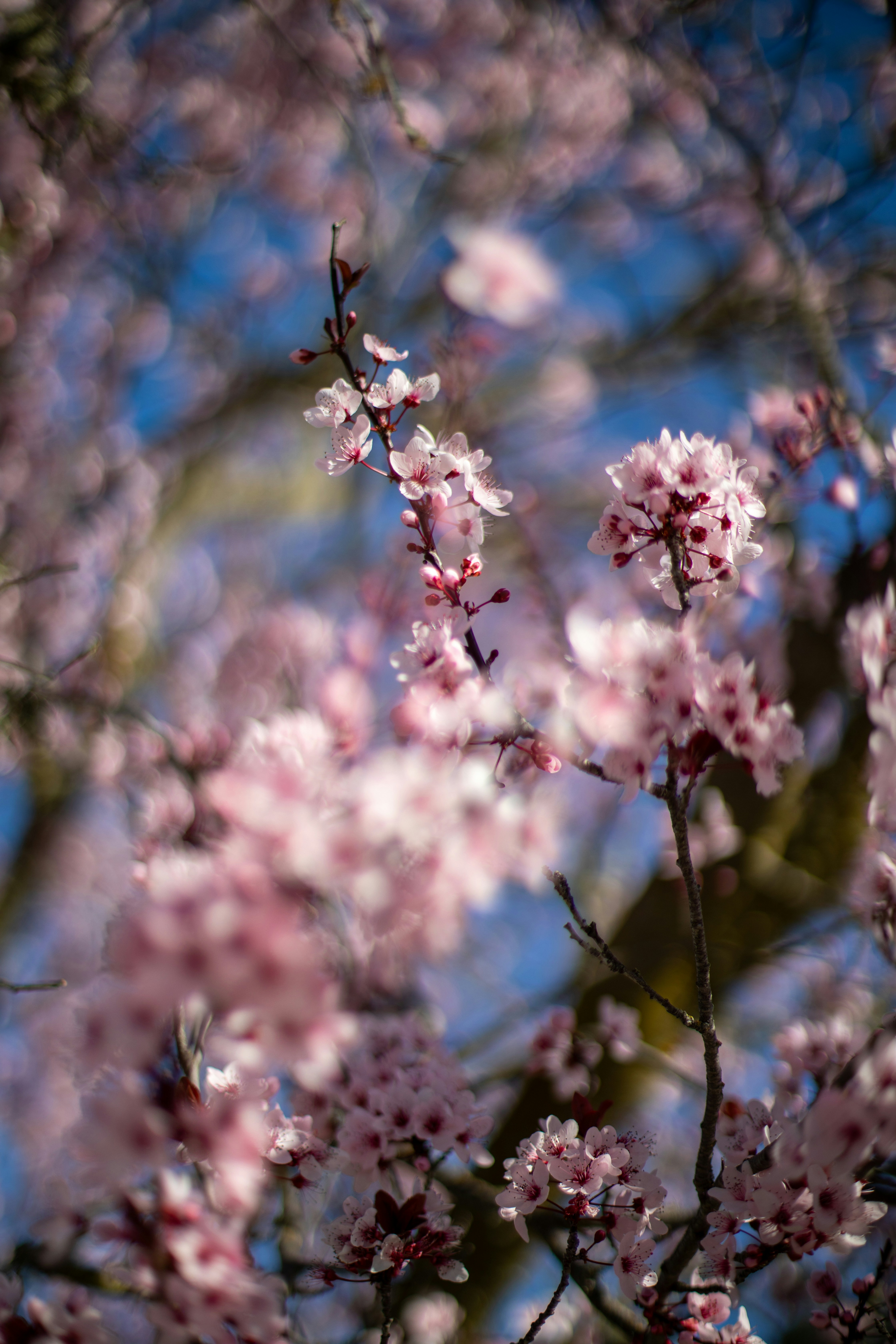 Photo by sixteenmilesout