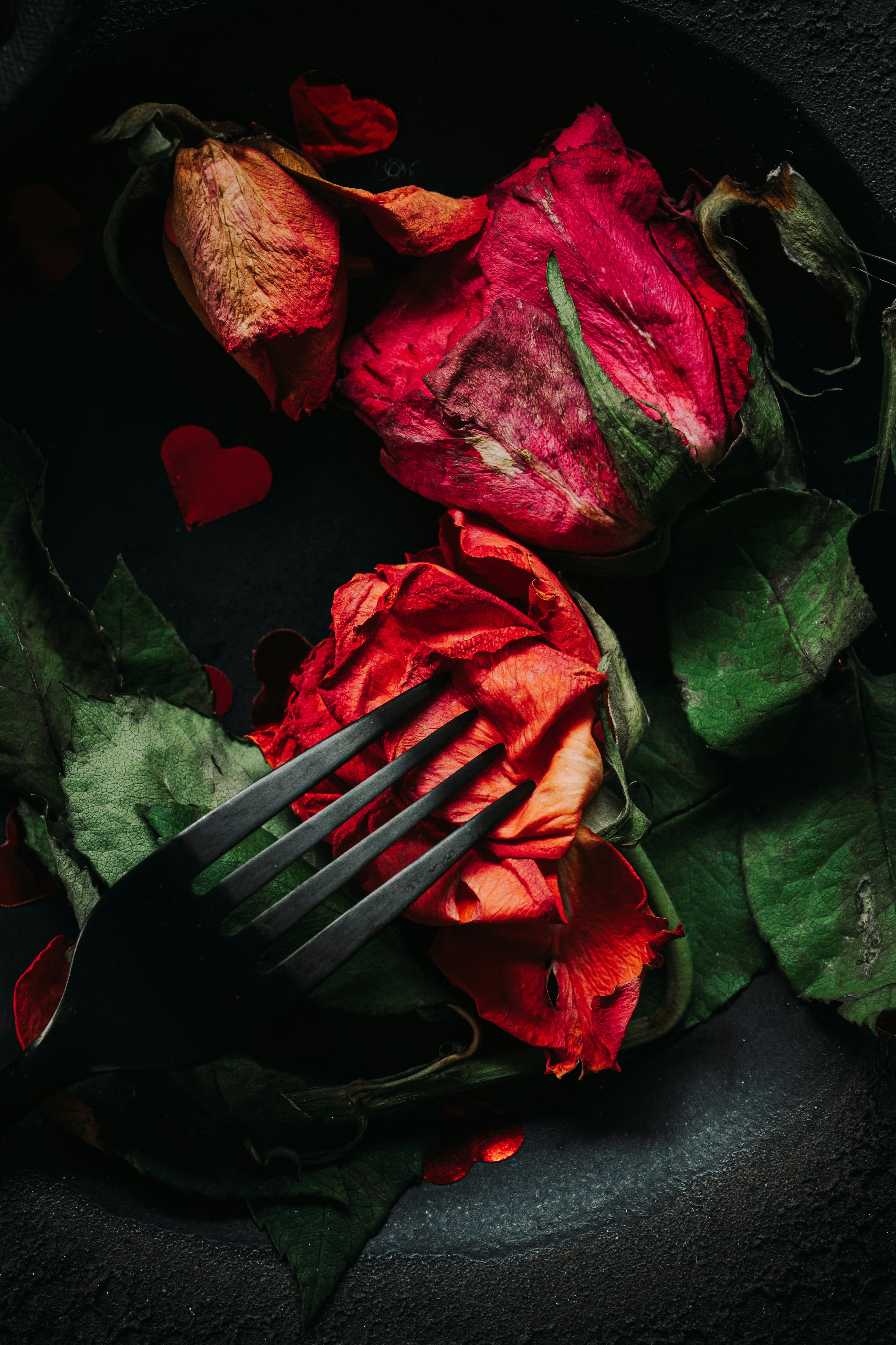 Two wilted red roses with a fork and hearts