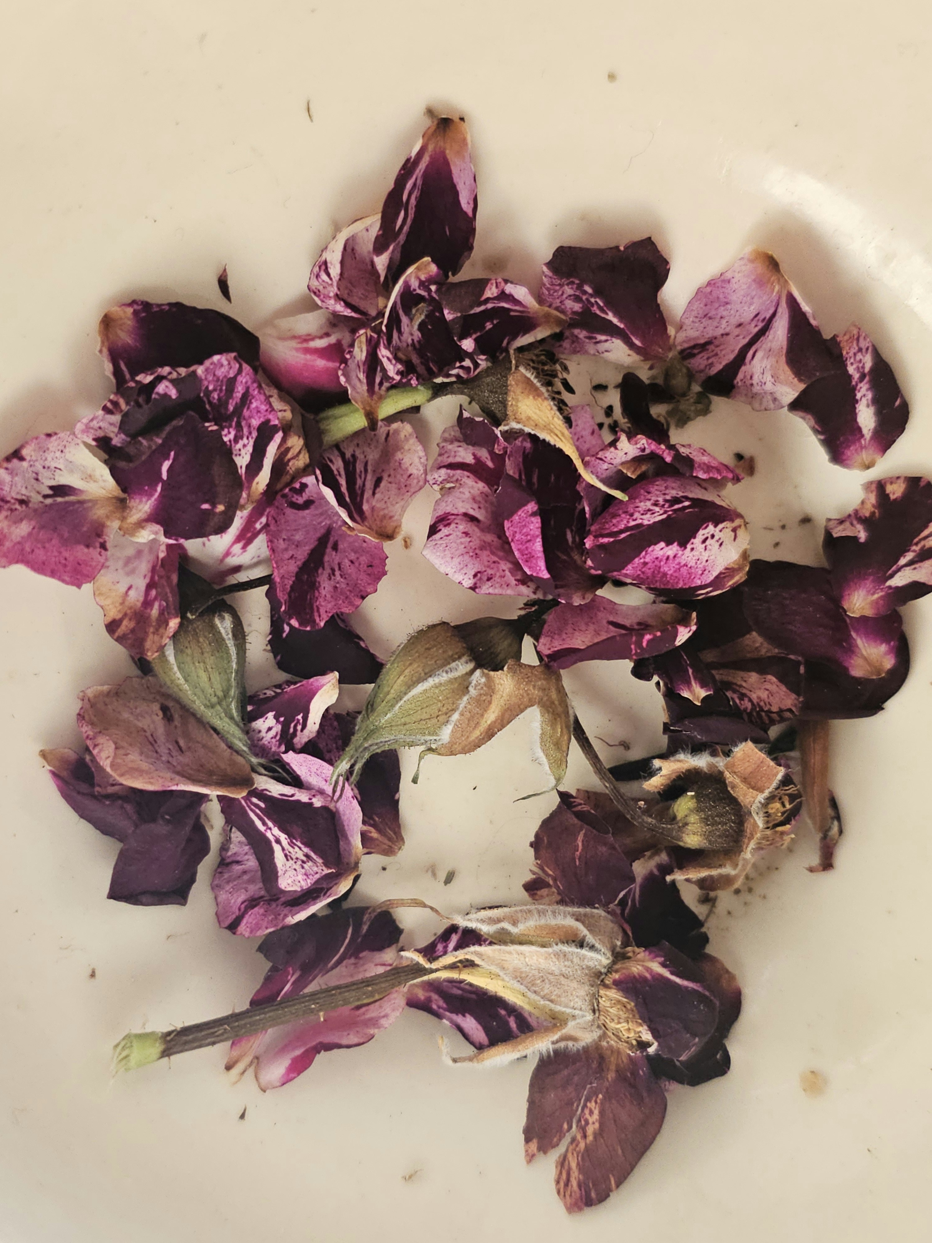 Dried roses and petals in a bowl.