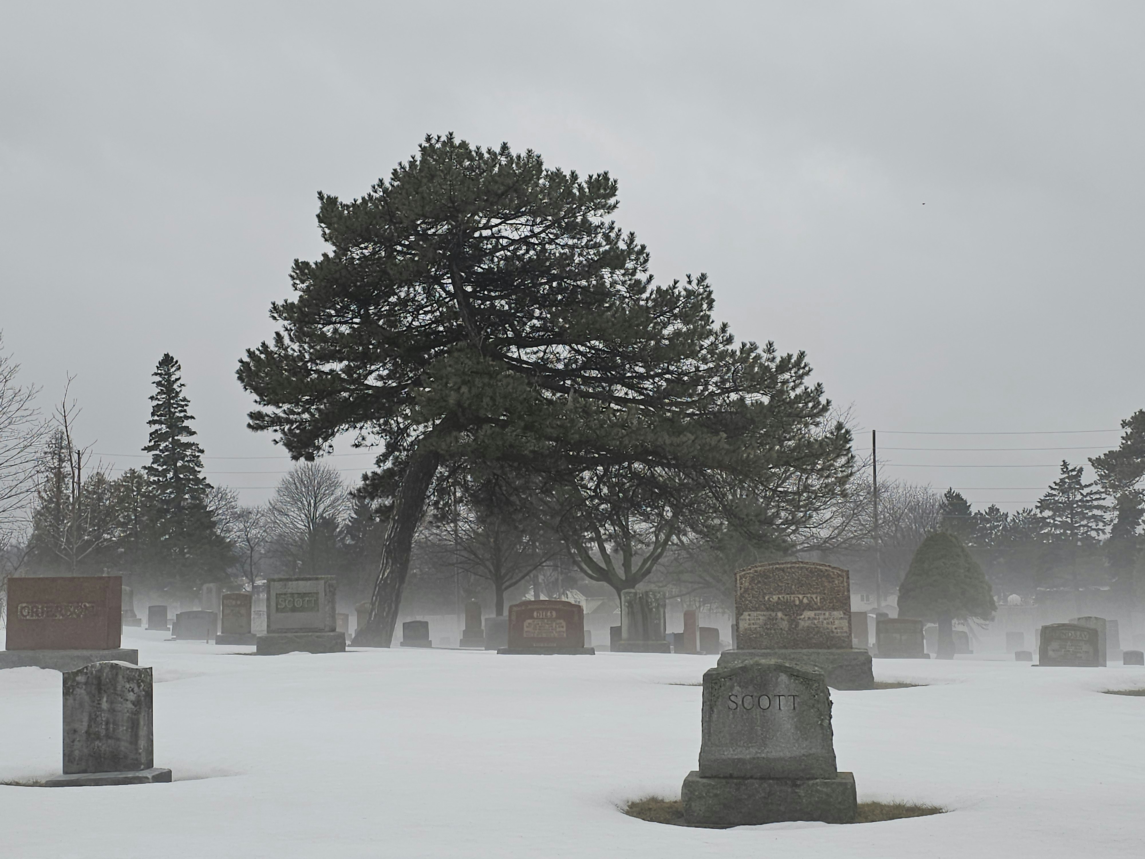 Winter cemetery