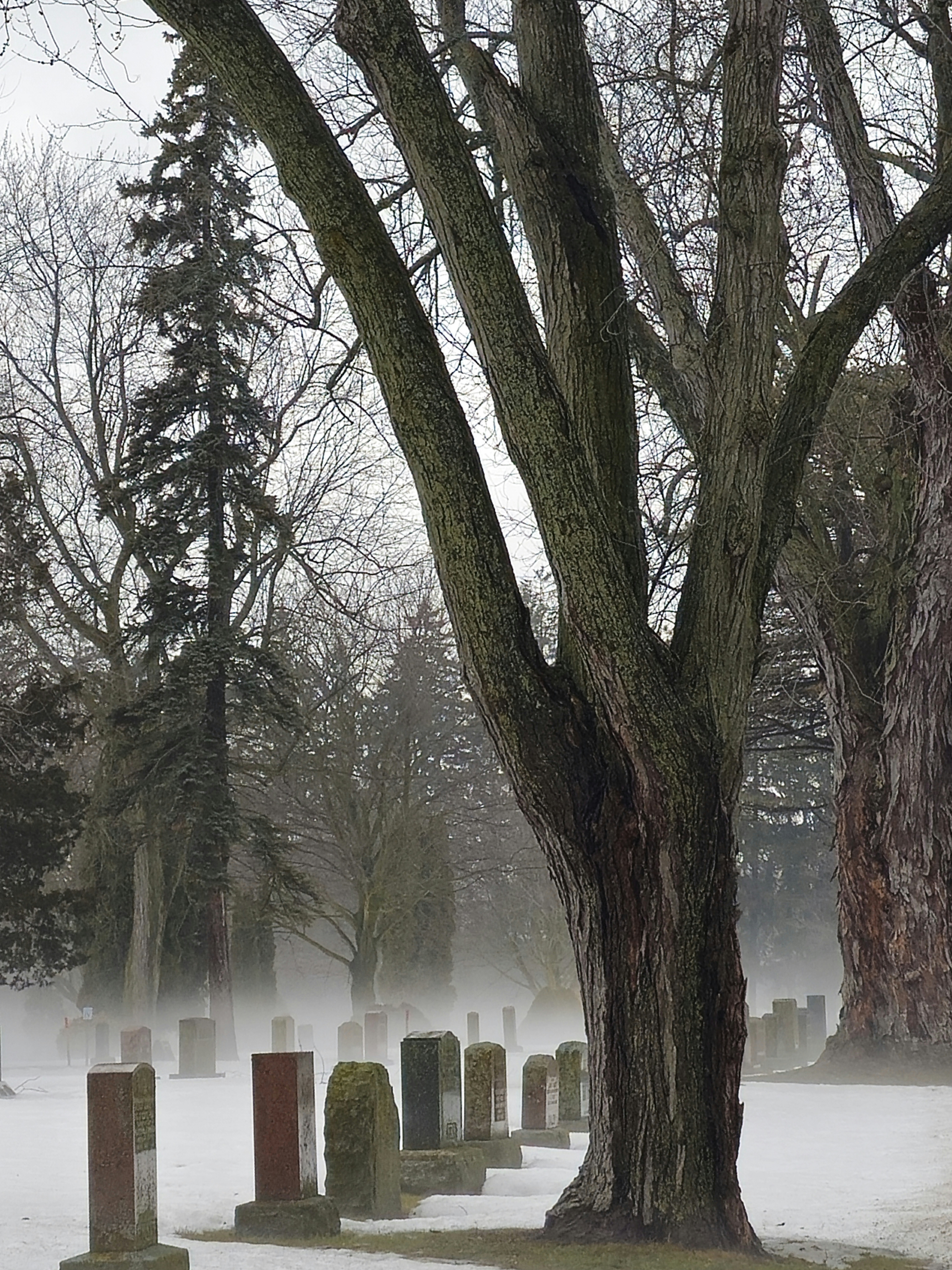 Cemetery in Canadian winter