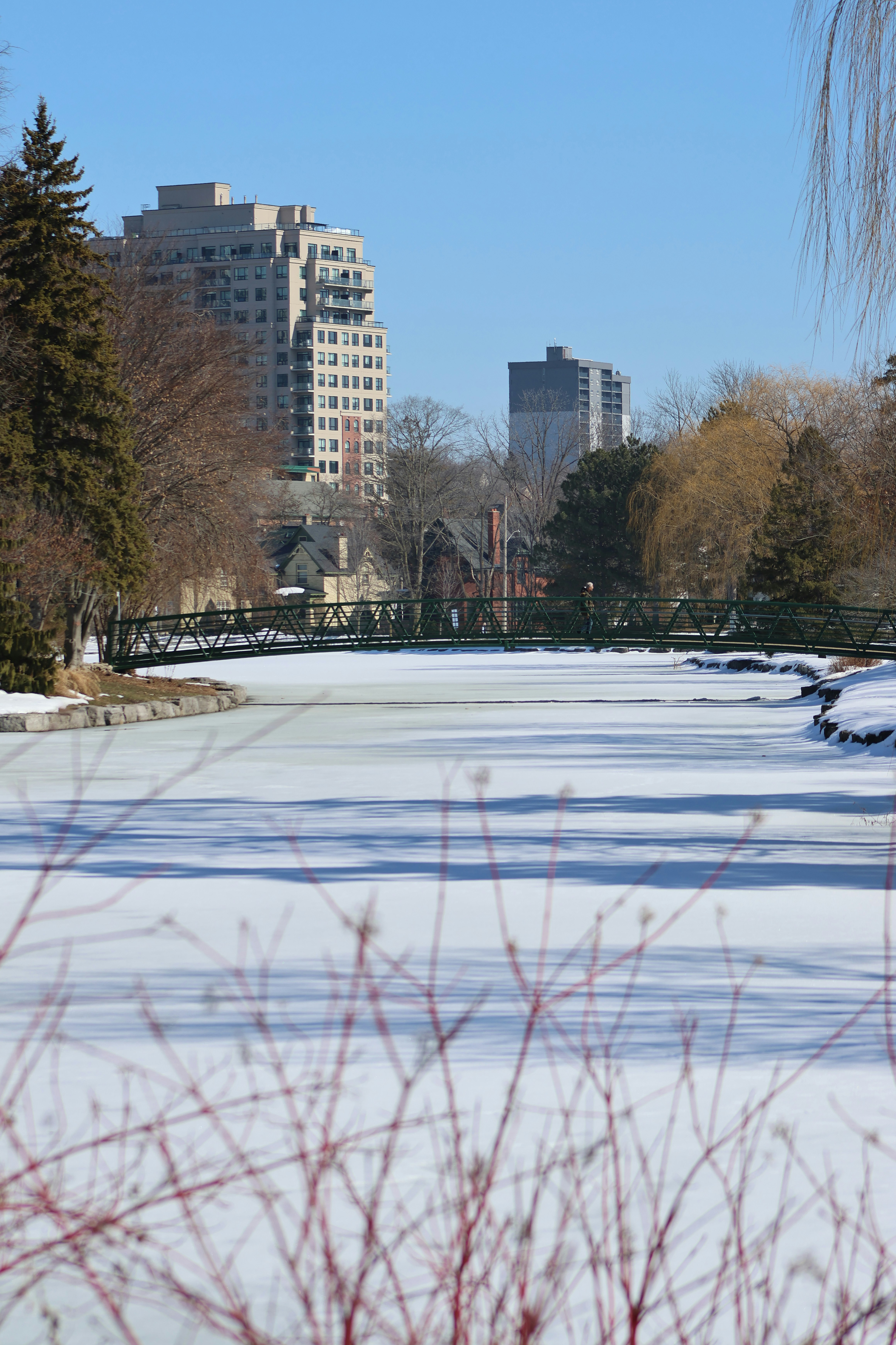 Photo by africantransplantfotos