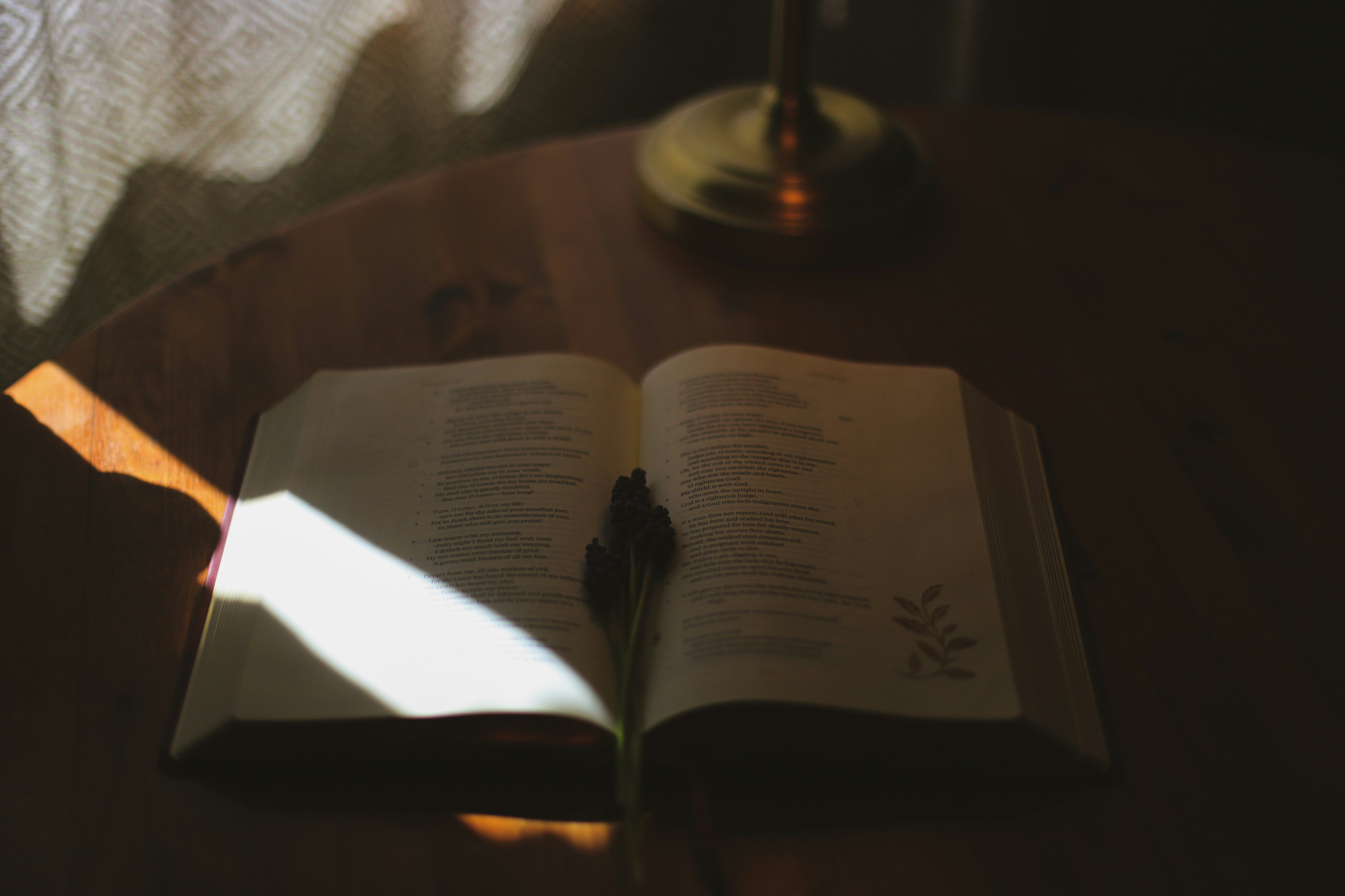 Photo by jessicalfadel