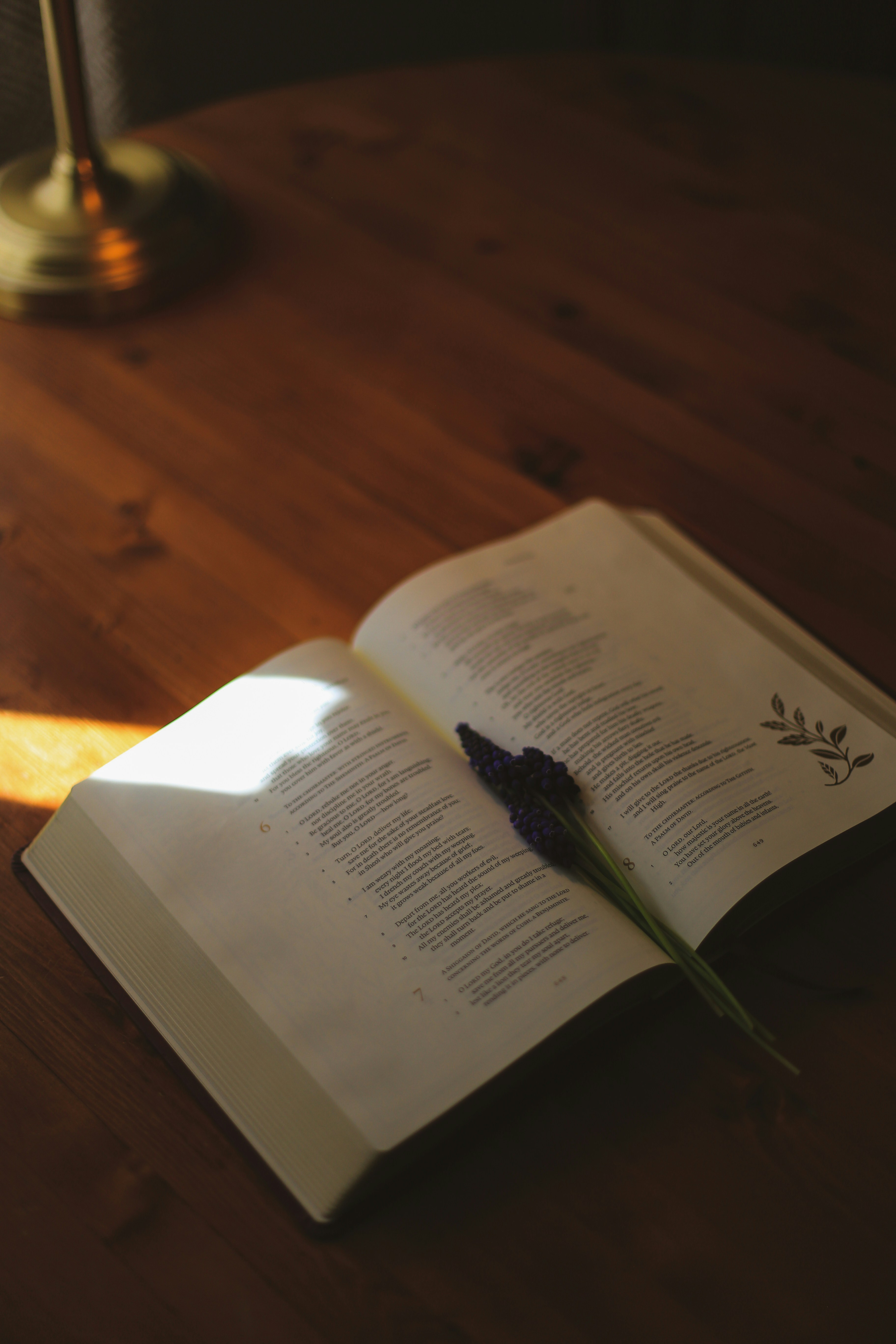 Photo by jessicalfadel