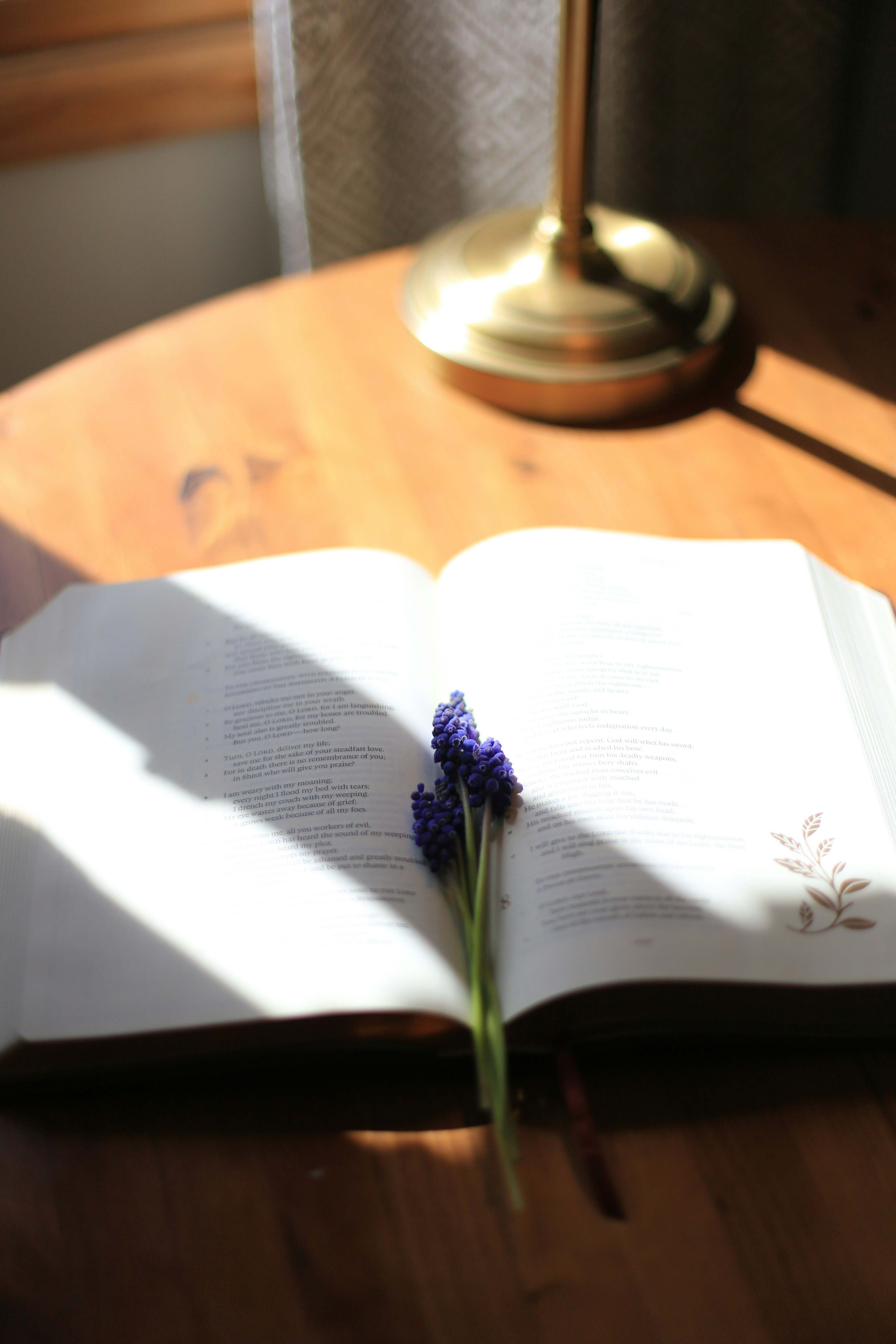 An open book with purple flowers on a wooden table.