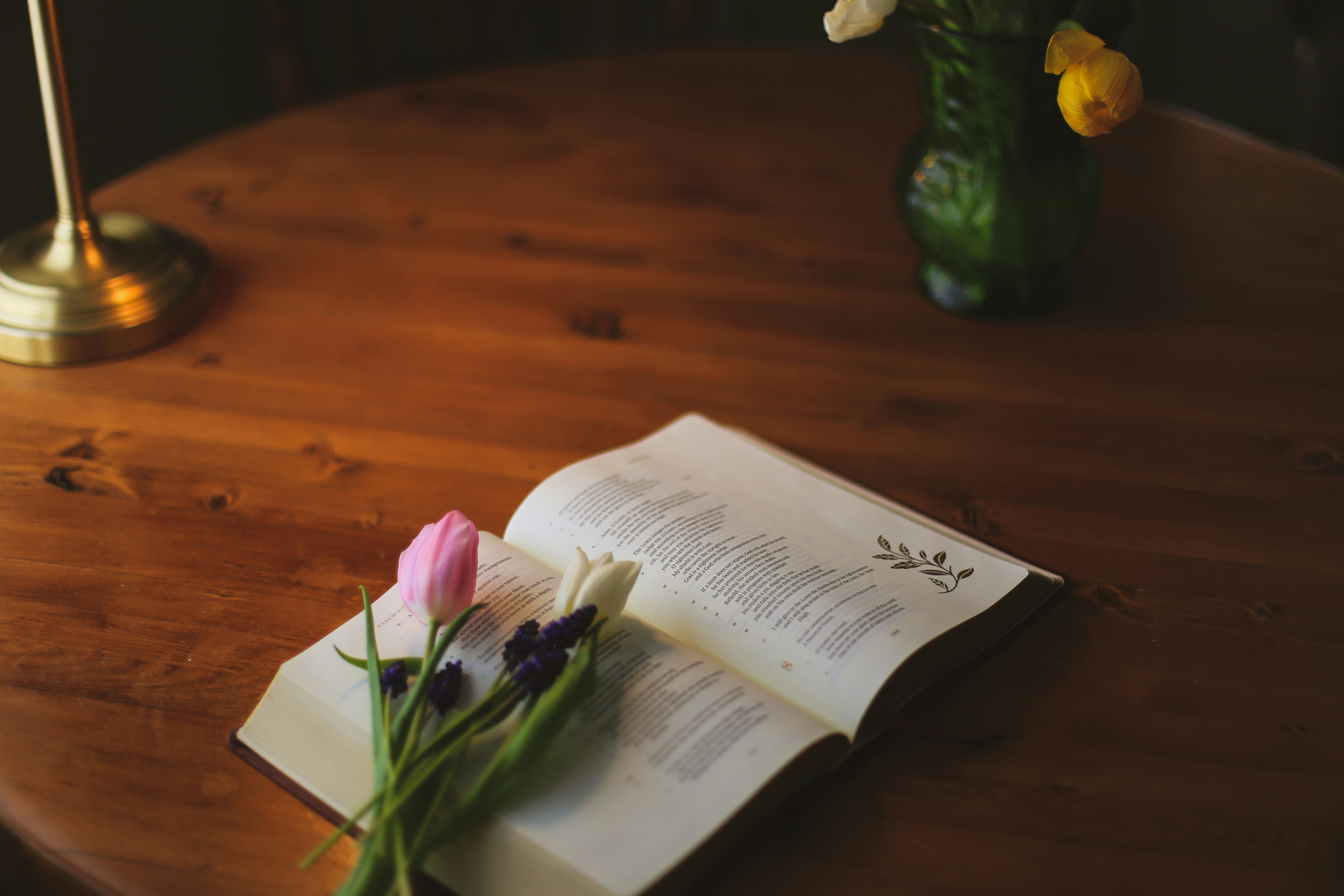 Photo by jessicalfadel