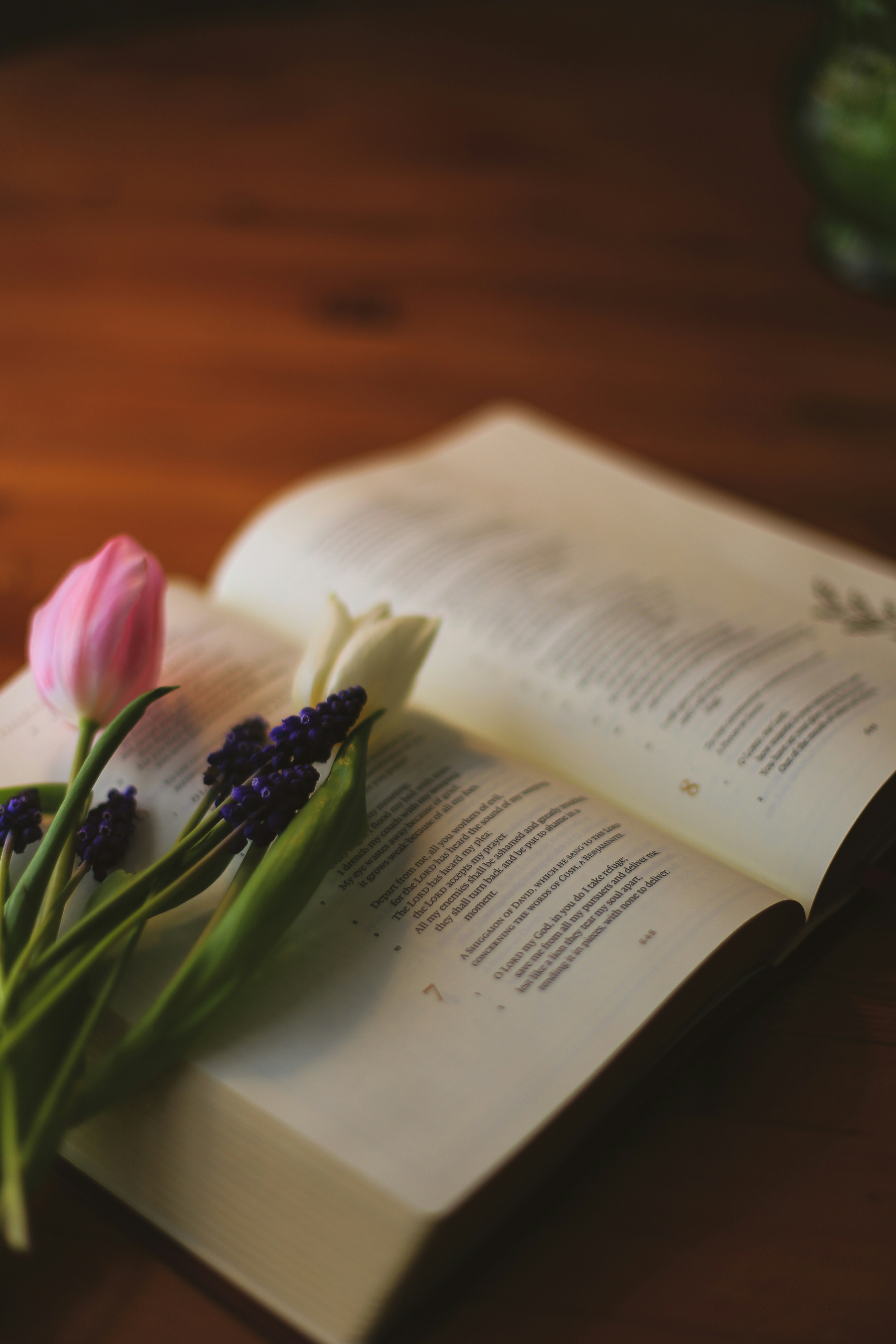 Photo by jessicalfadel