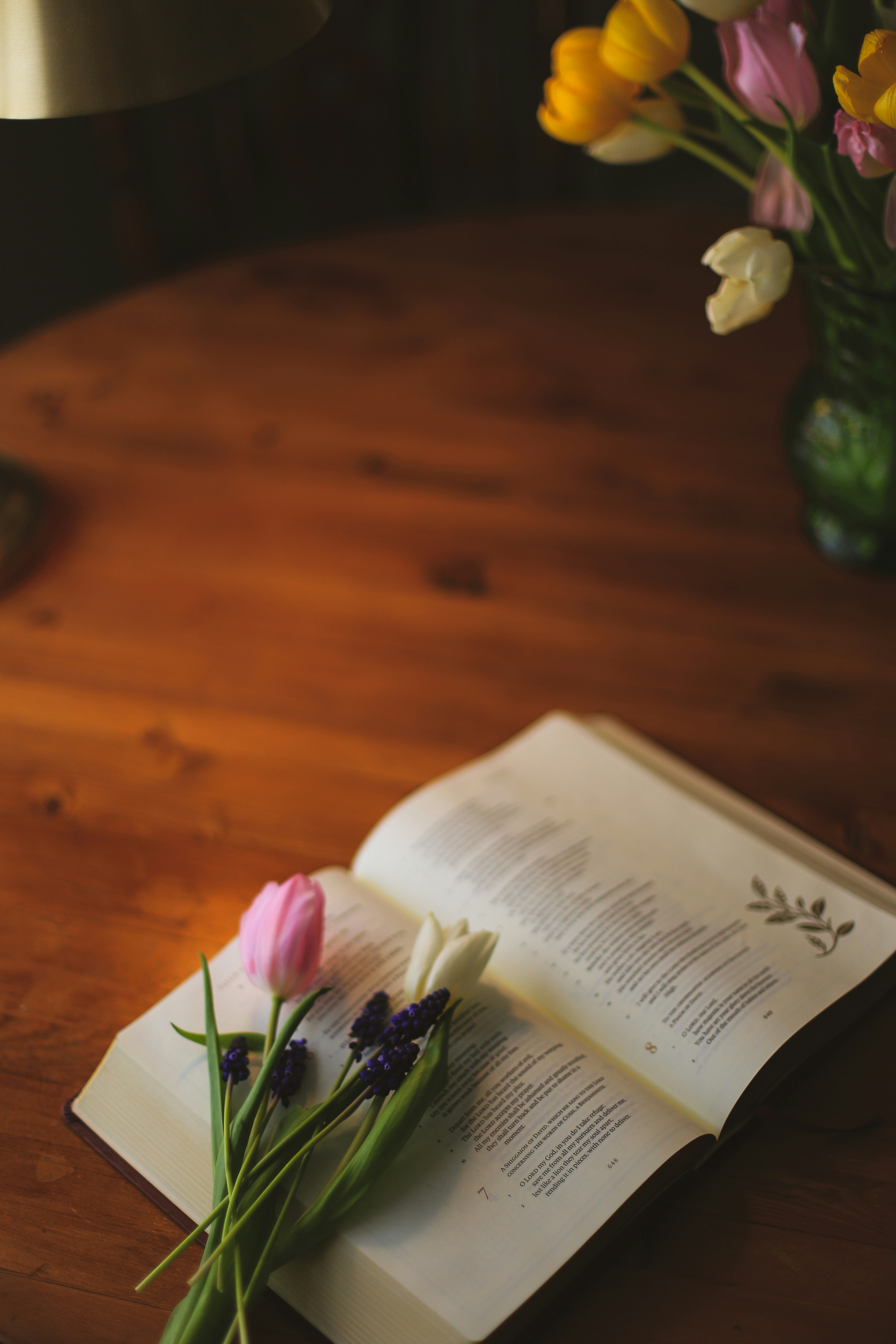 Photo by jessicalfadel