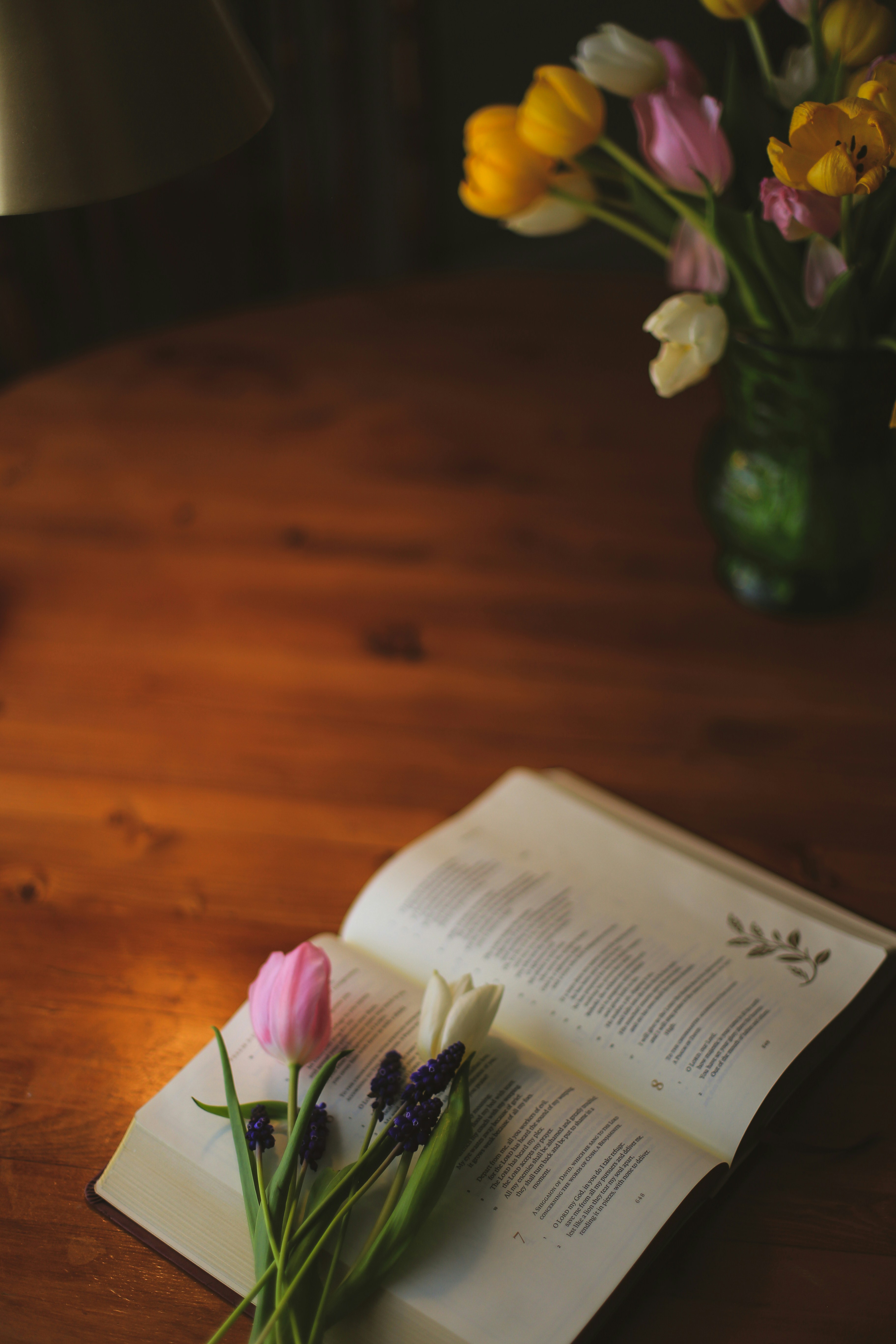 Photo by jessicalfadel