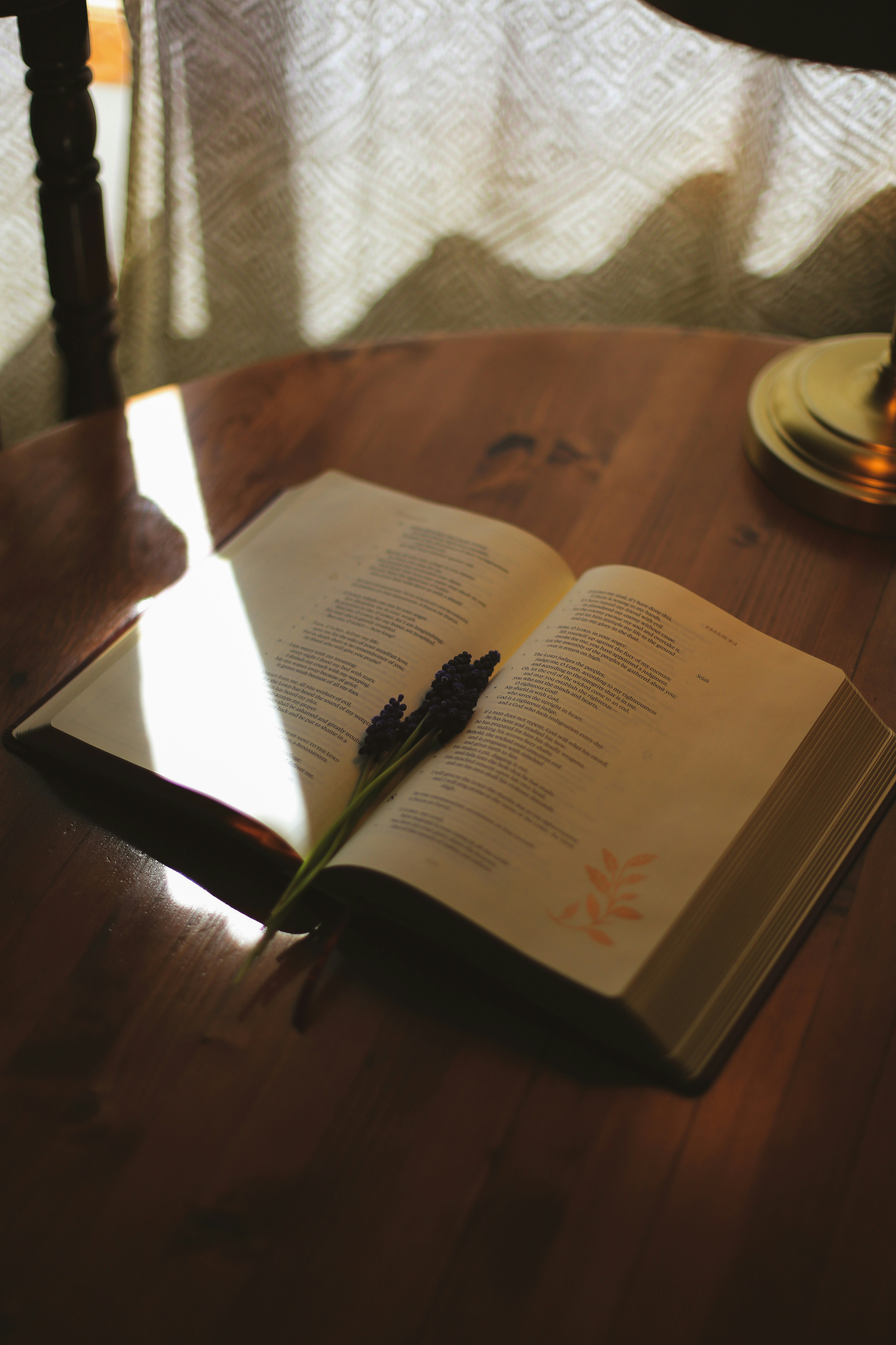 Photo by jessicalfadel