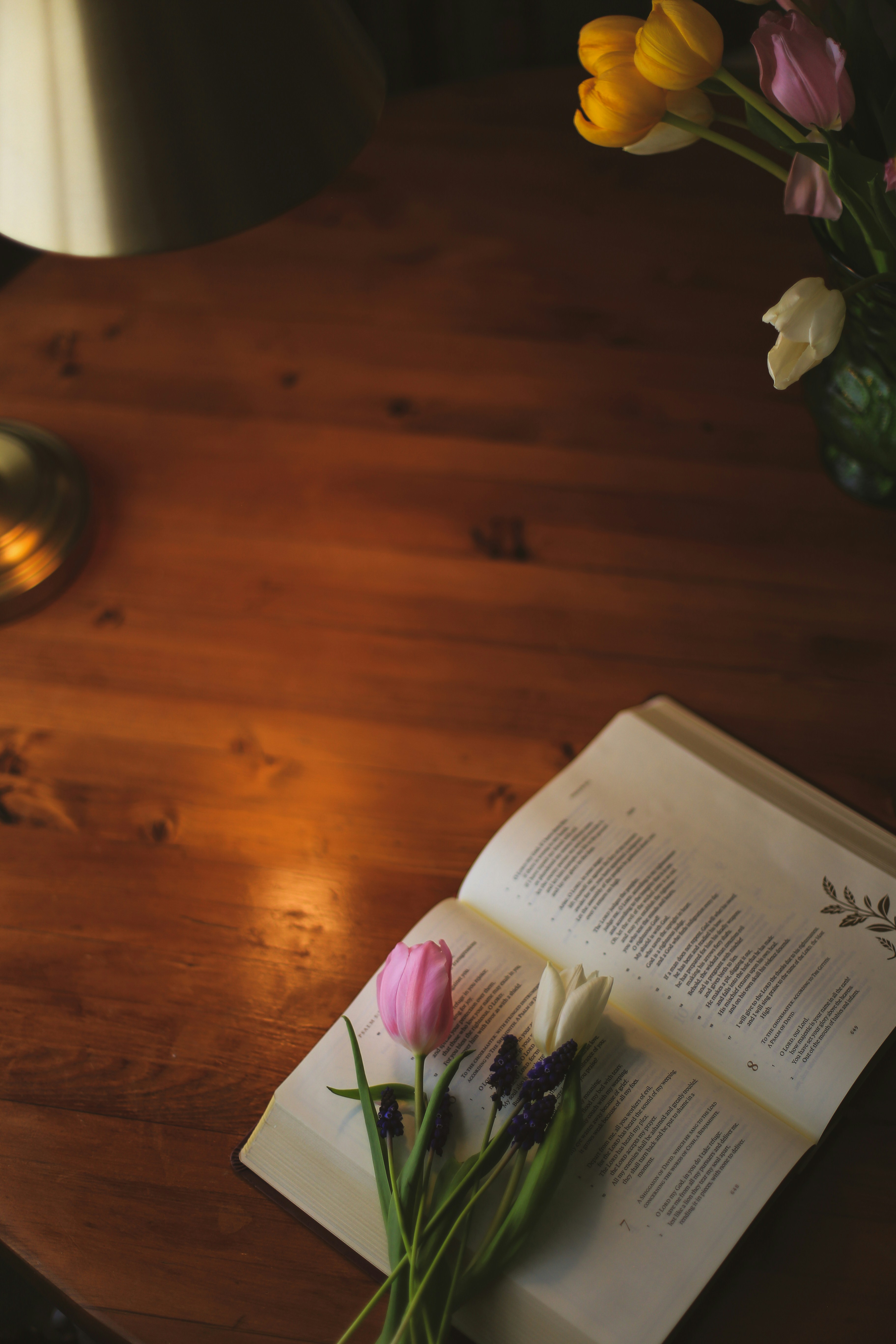 Photo by jessicalfadel