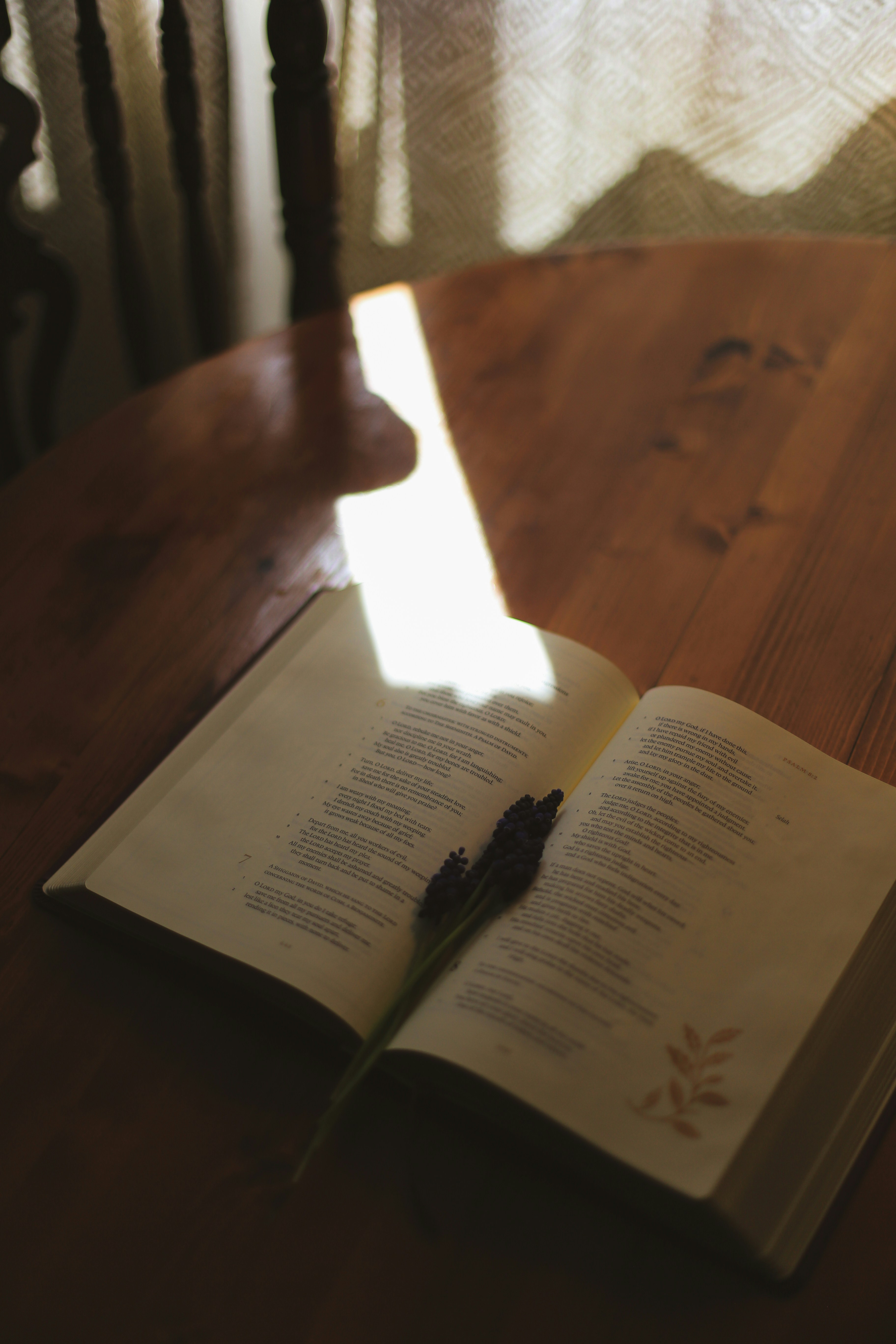 Photo by jessicalfadel