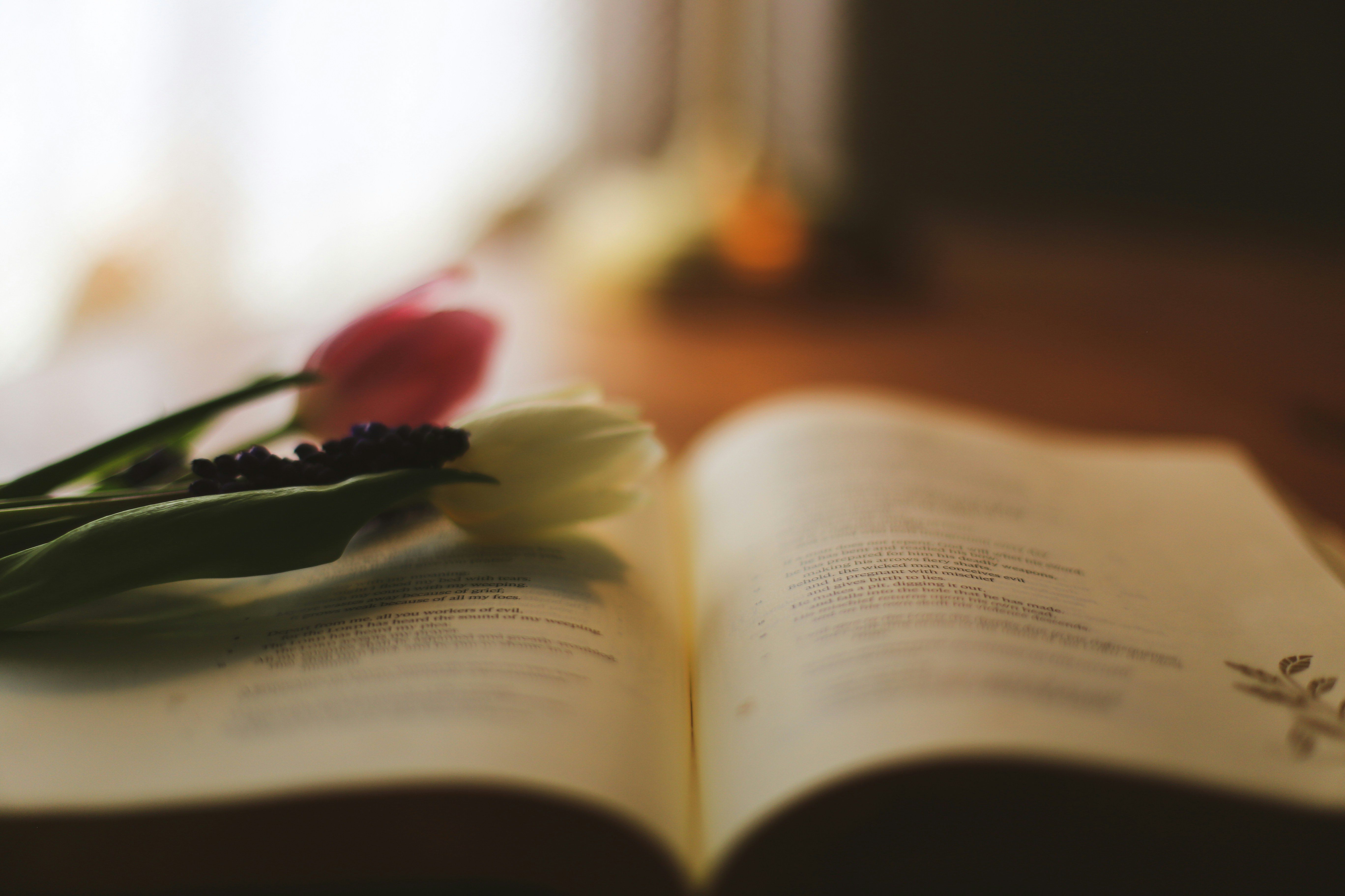 Photo by jessicalfadel