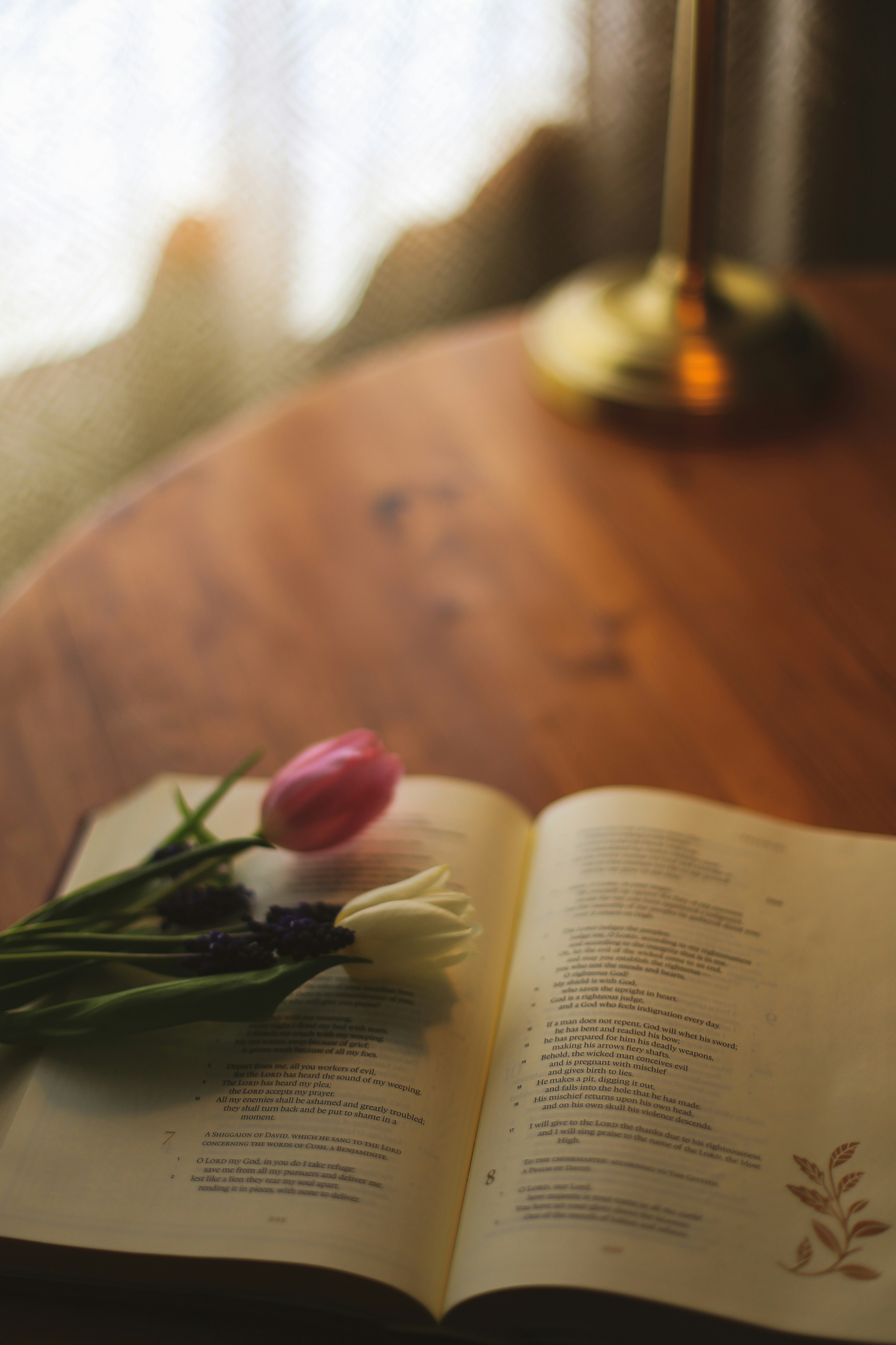 Photo by jessicalfadel