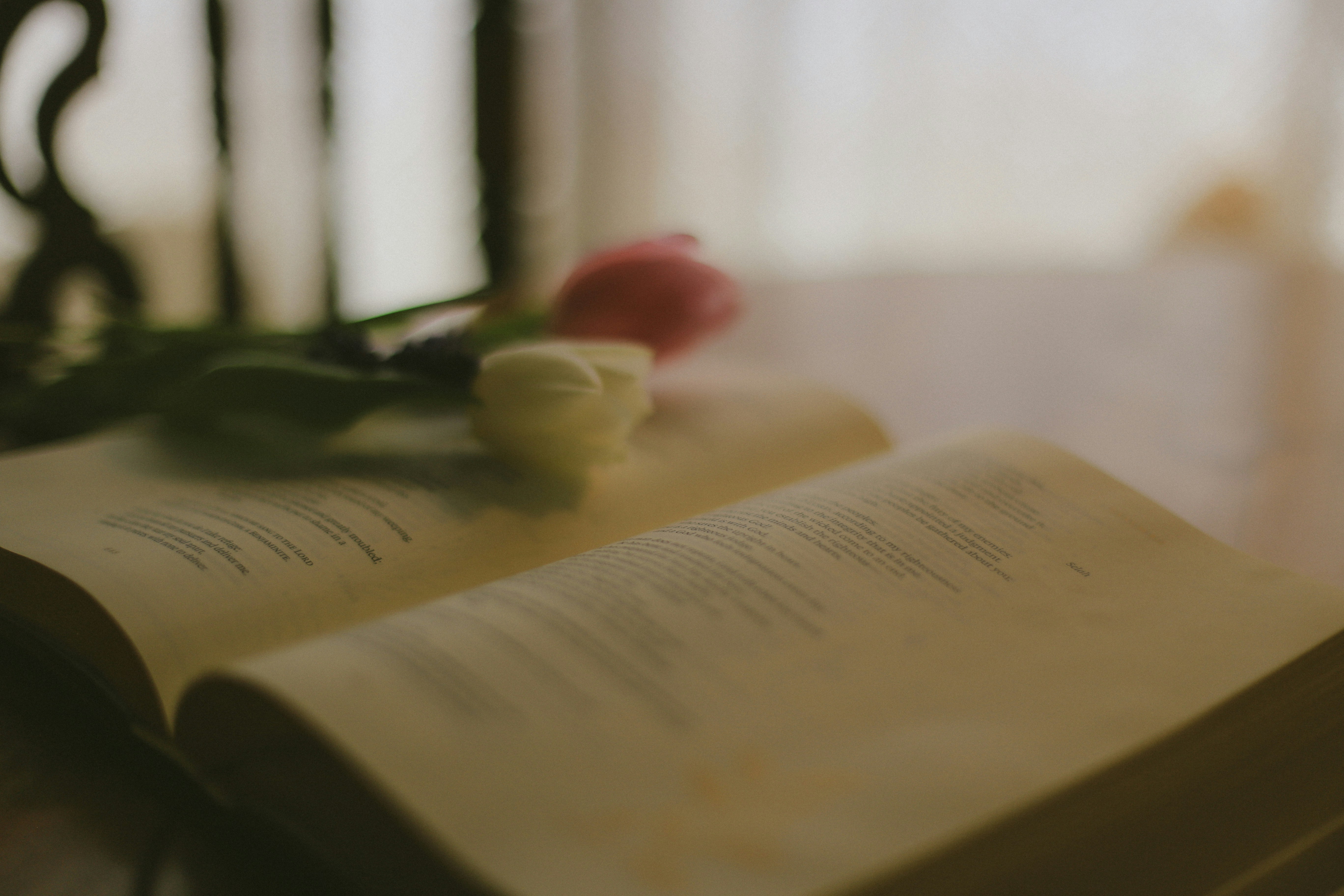 Photo by jessicalfadel