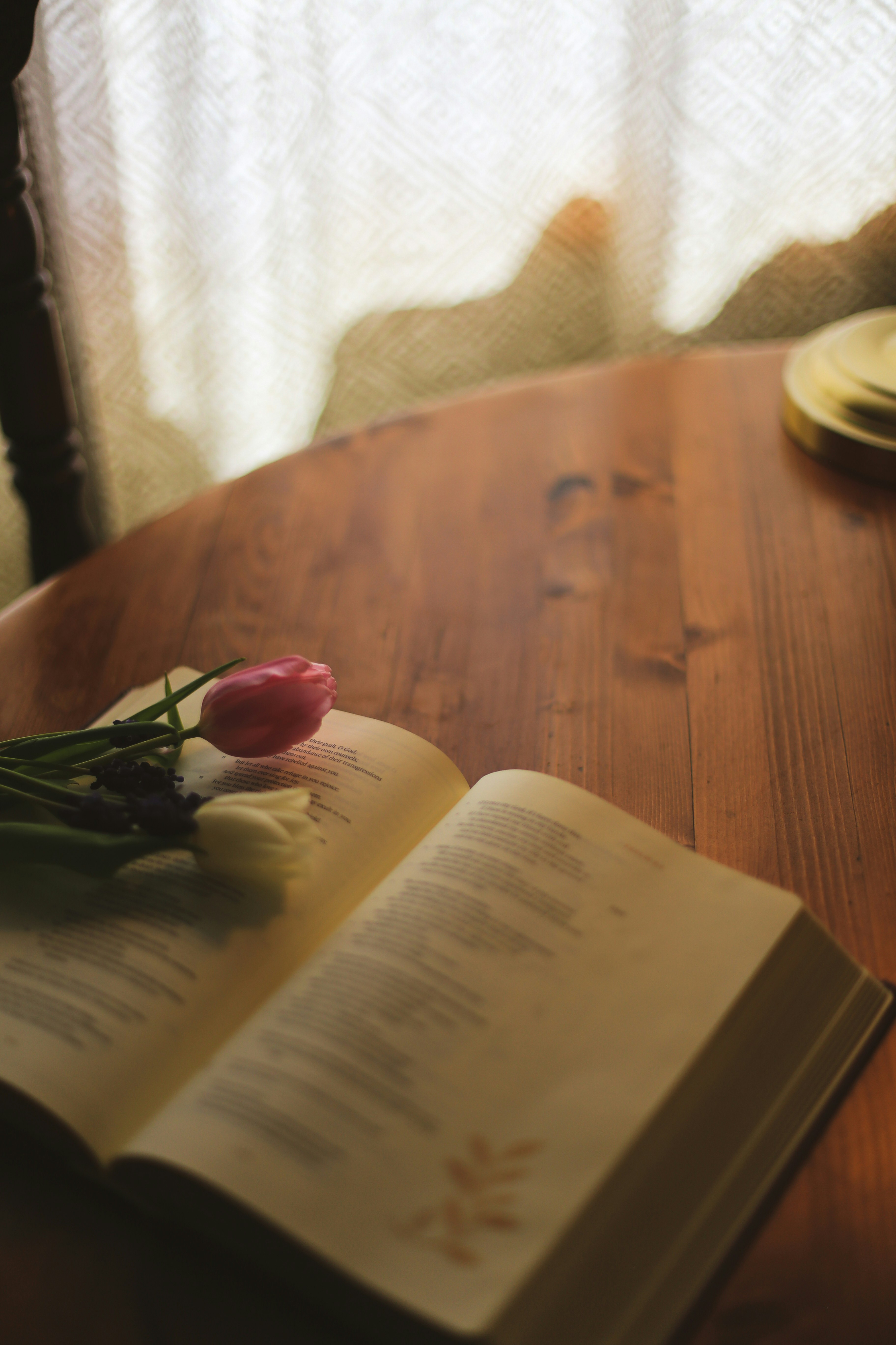 Photo by jessicalfadel