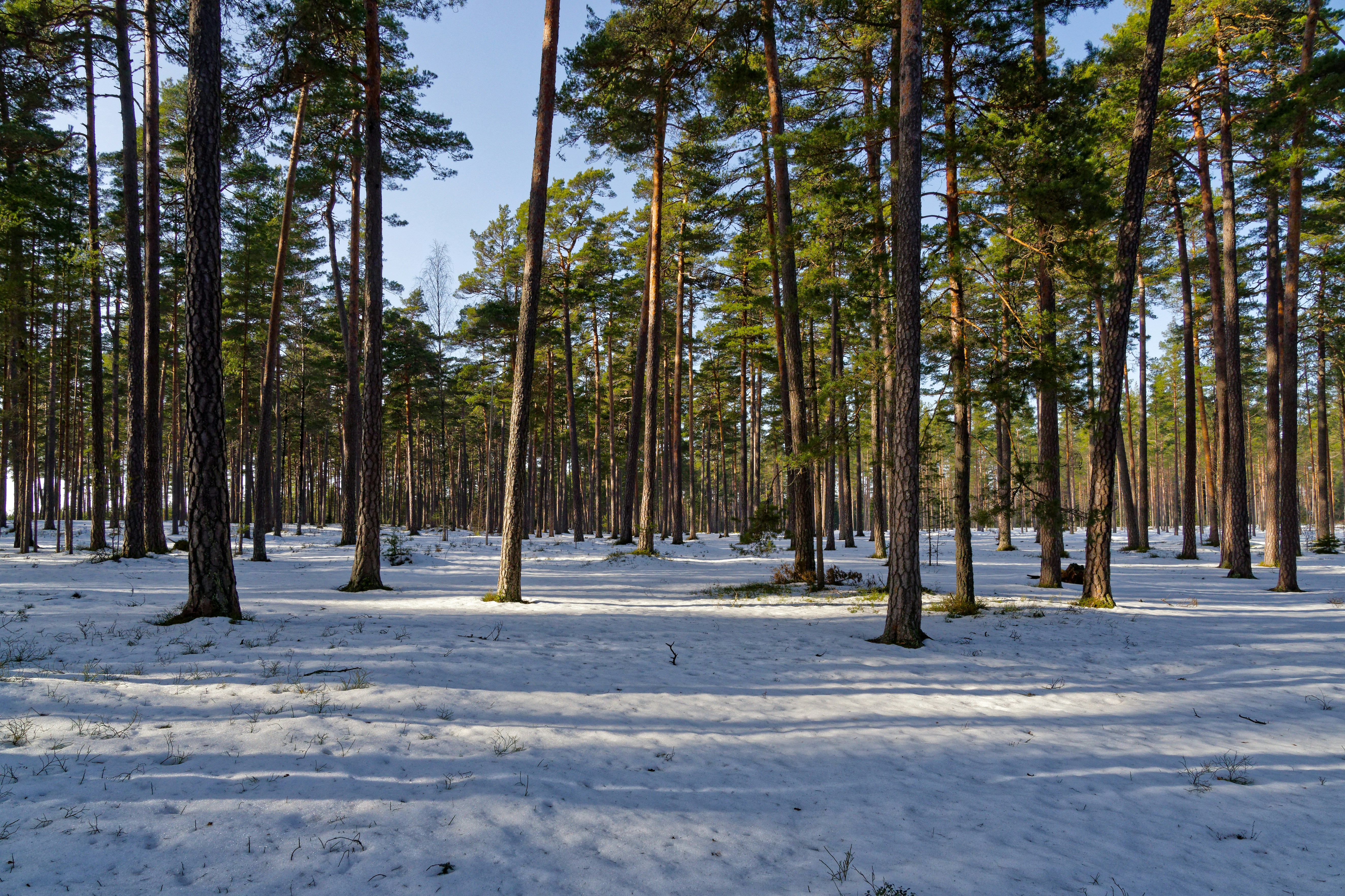 Photo by schneiderhenry