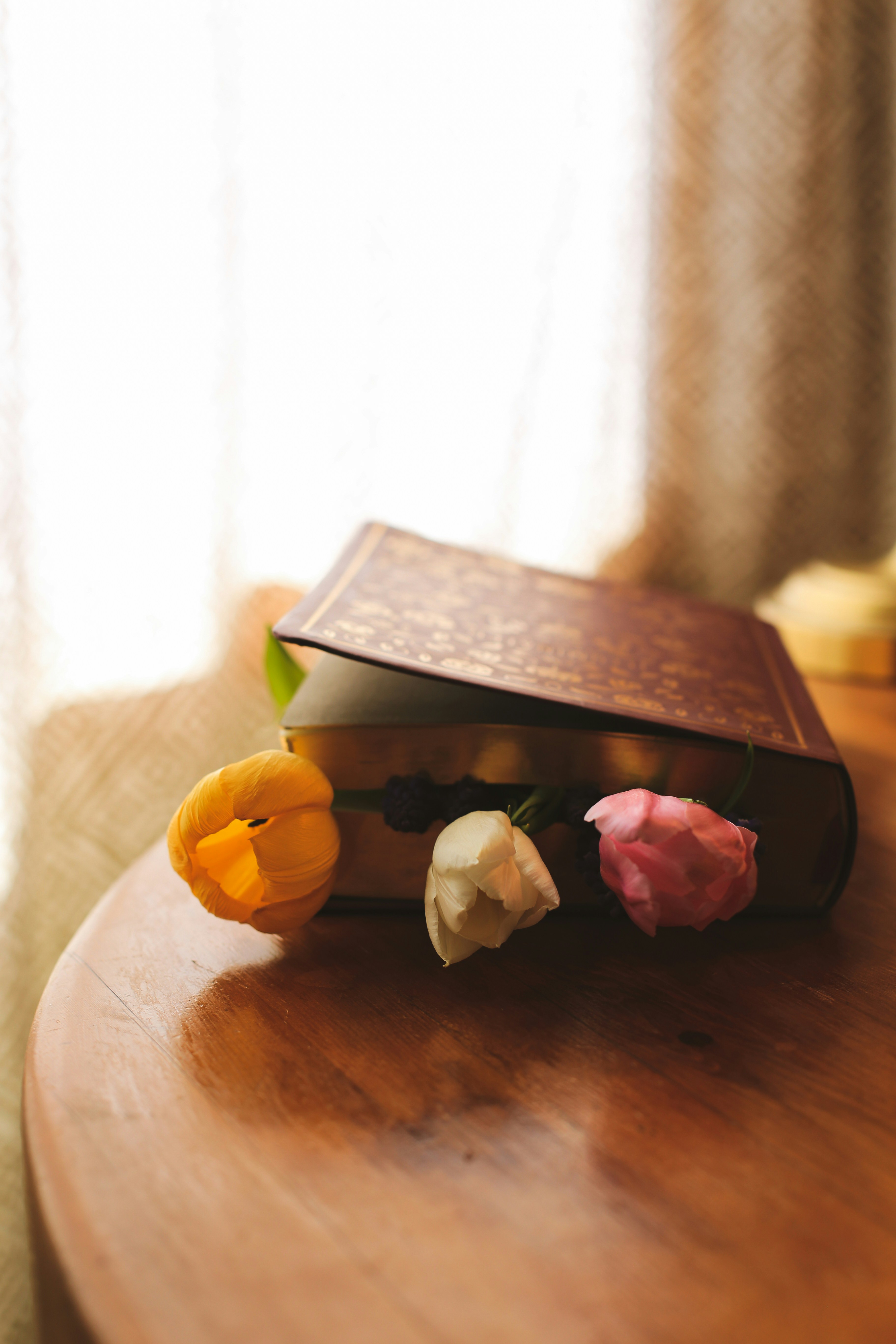 A closed book with flowers used as bookmarks