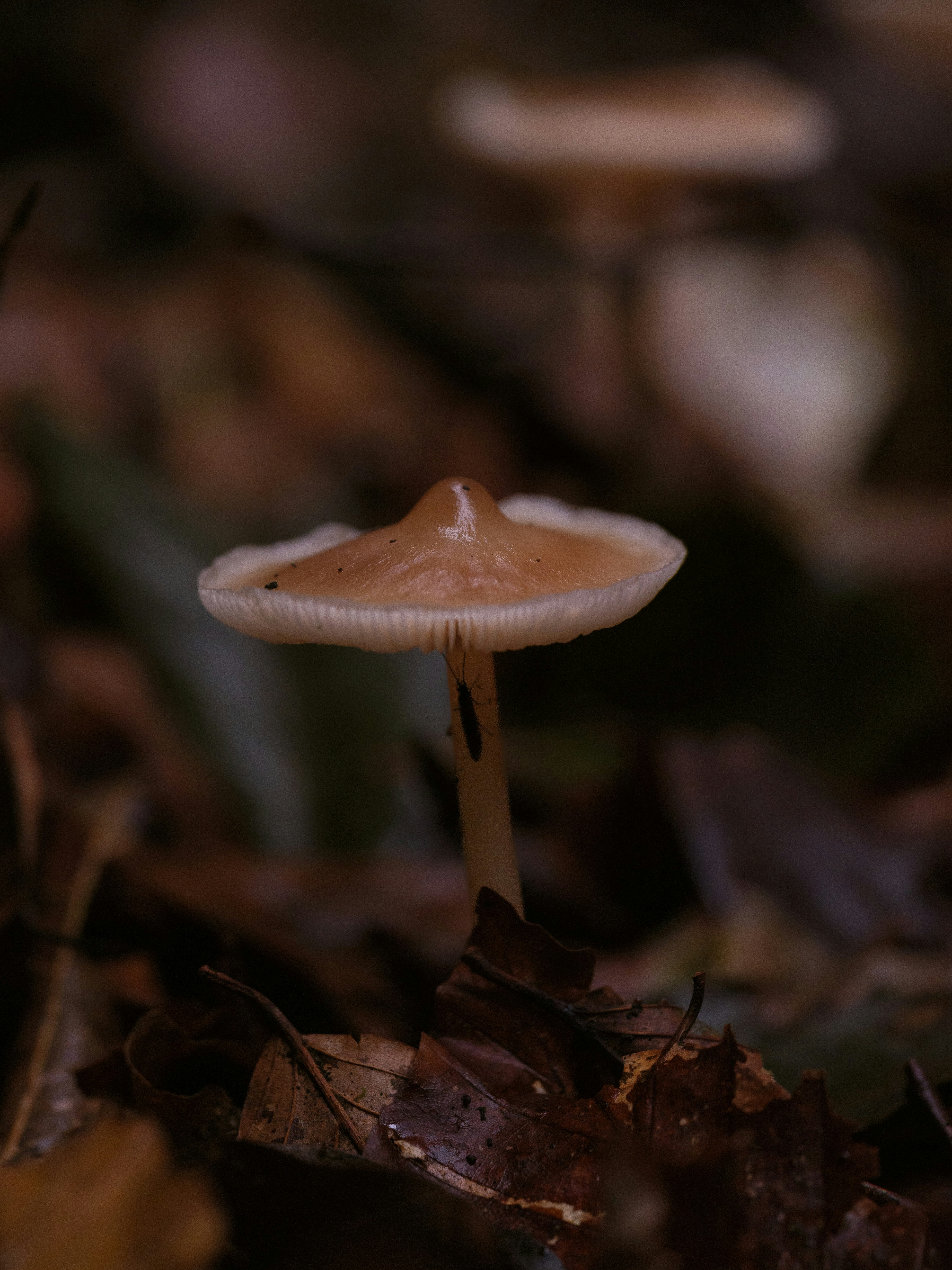 Photo by haberdoedas