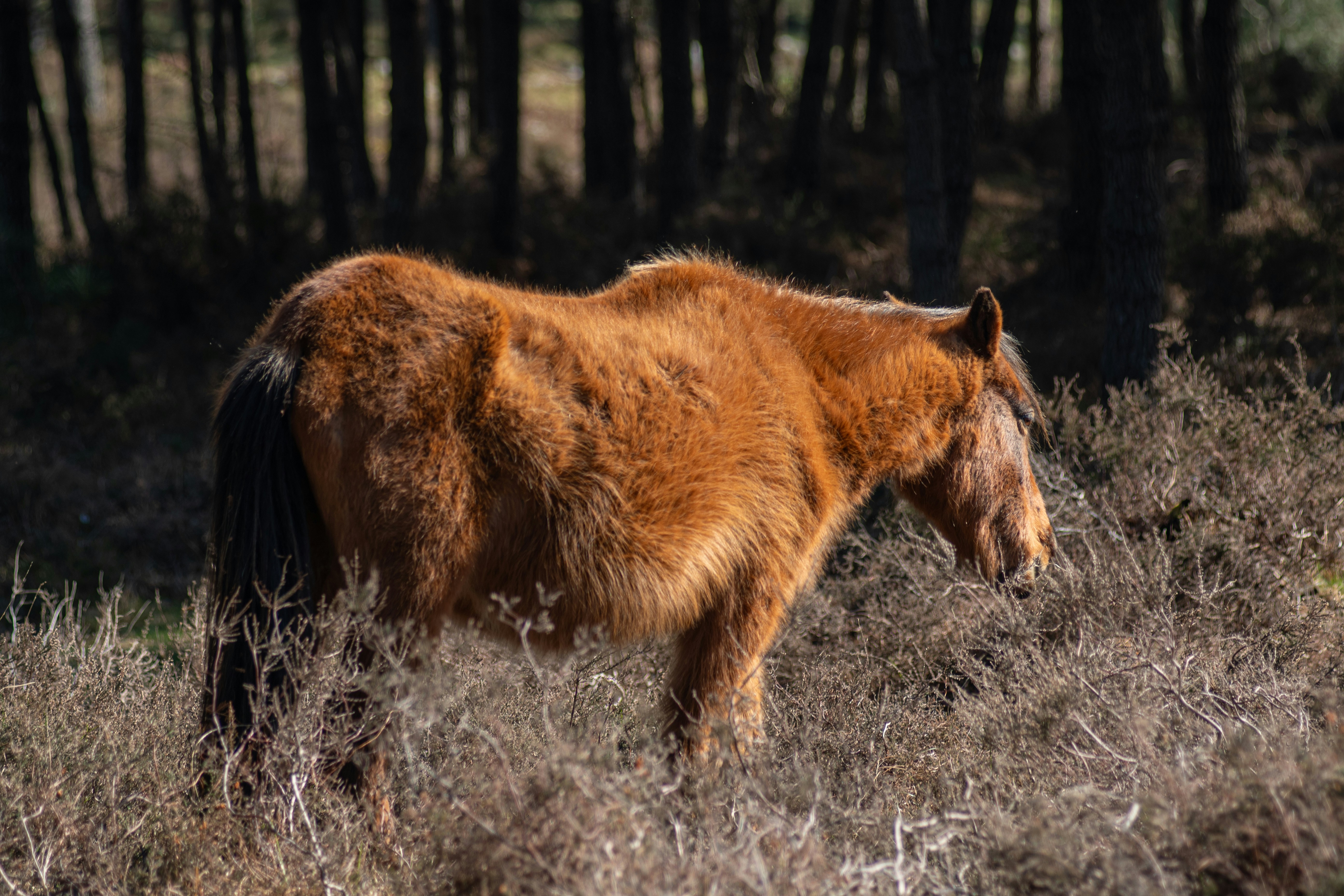 Photo by nataliaraylenegusakova