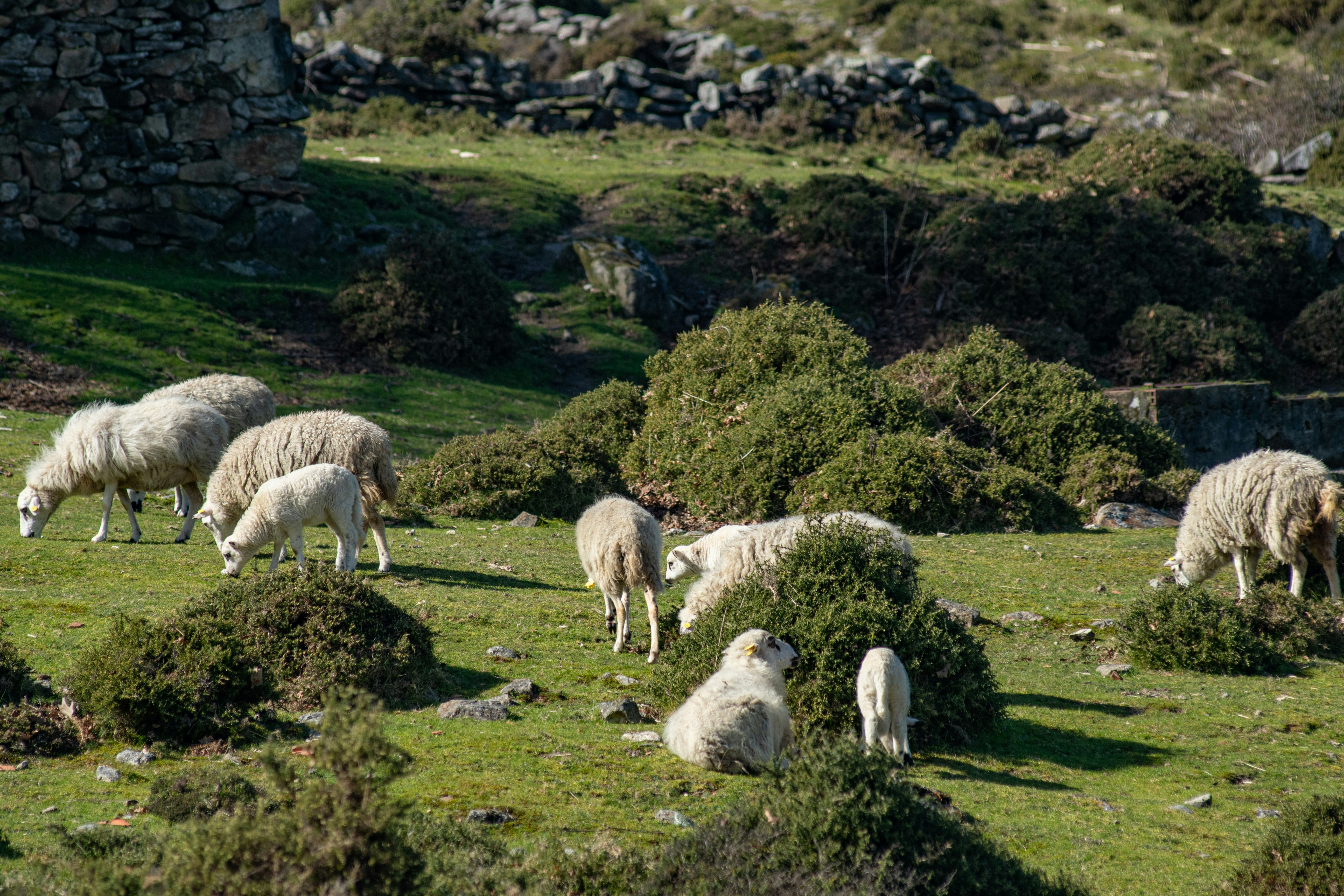 Photo by nataliaraylenegusakova