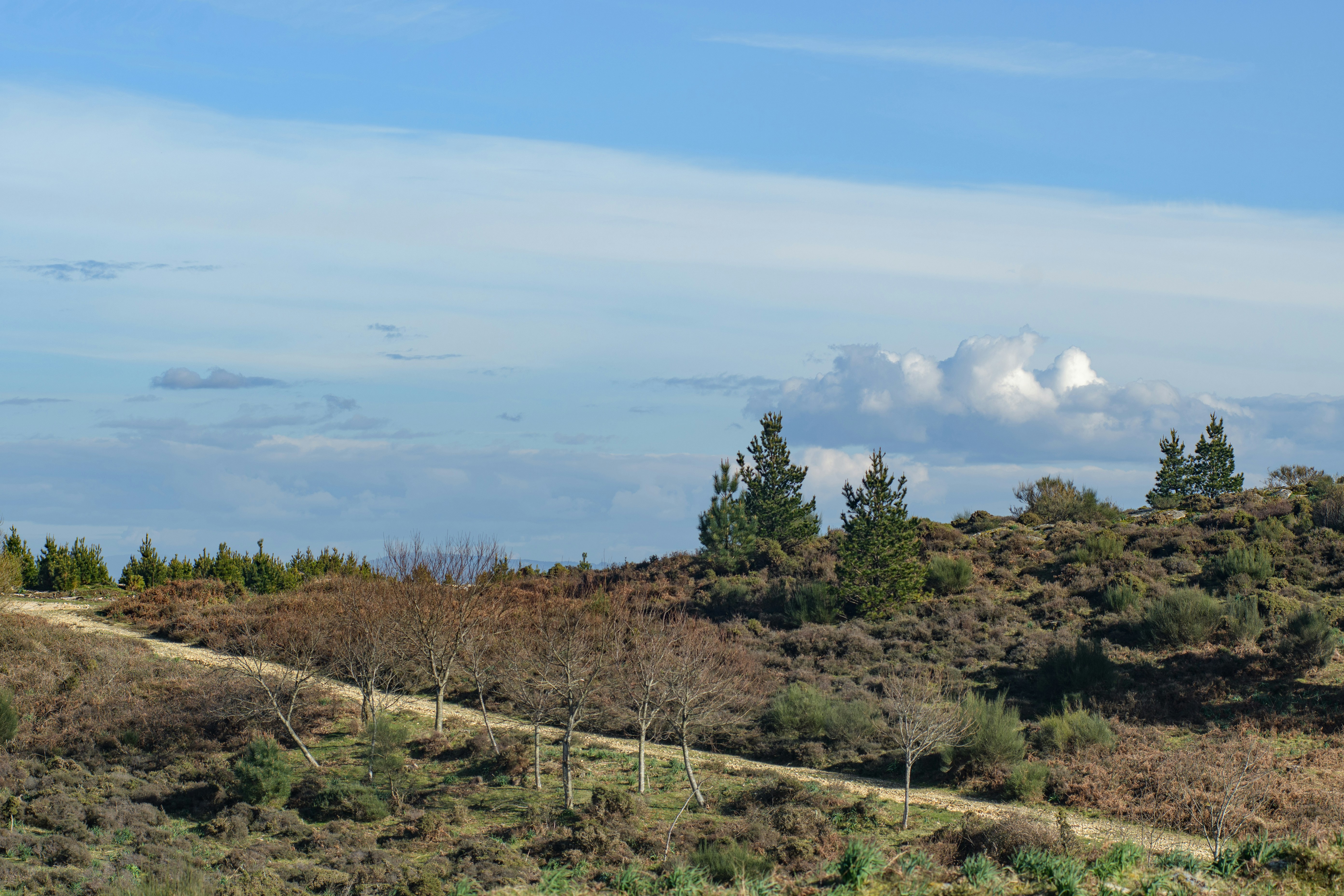 Photo by nataliaraylenegusakova