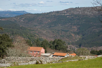 Red-roofed houses nestled in a forested mountain valley.