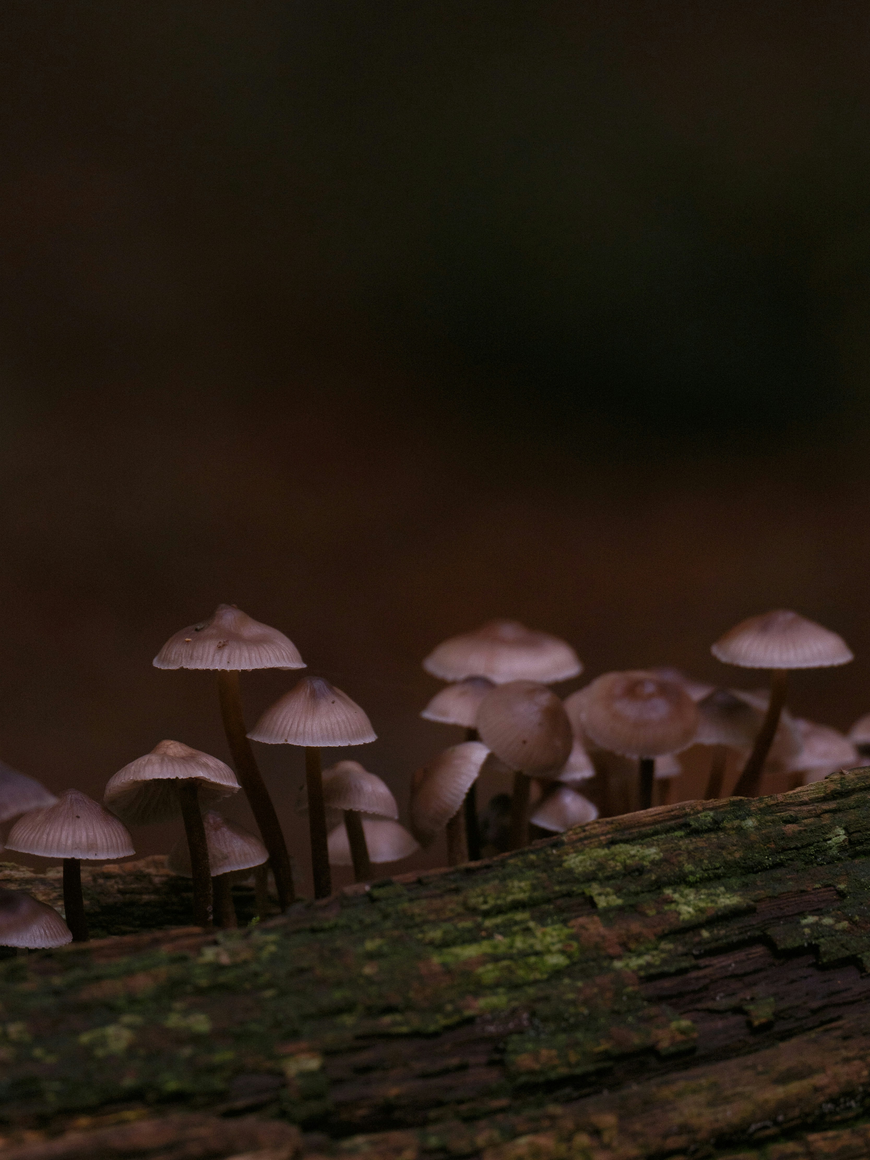 Photo by haberdoedas