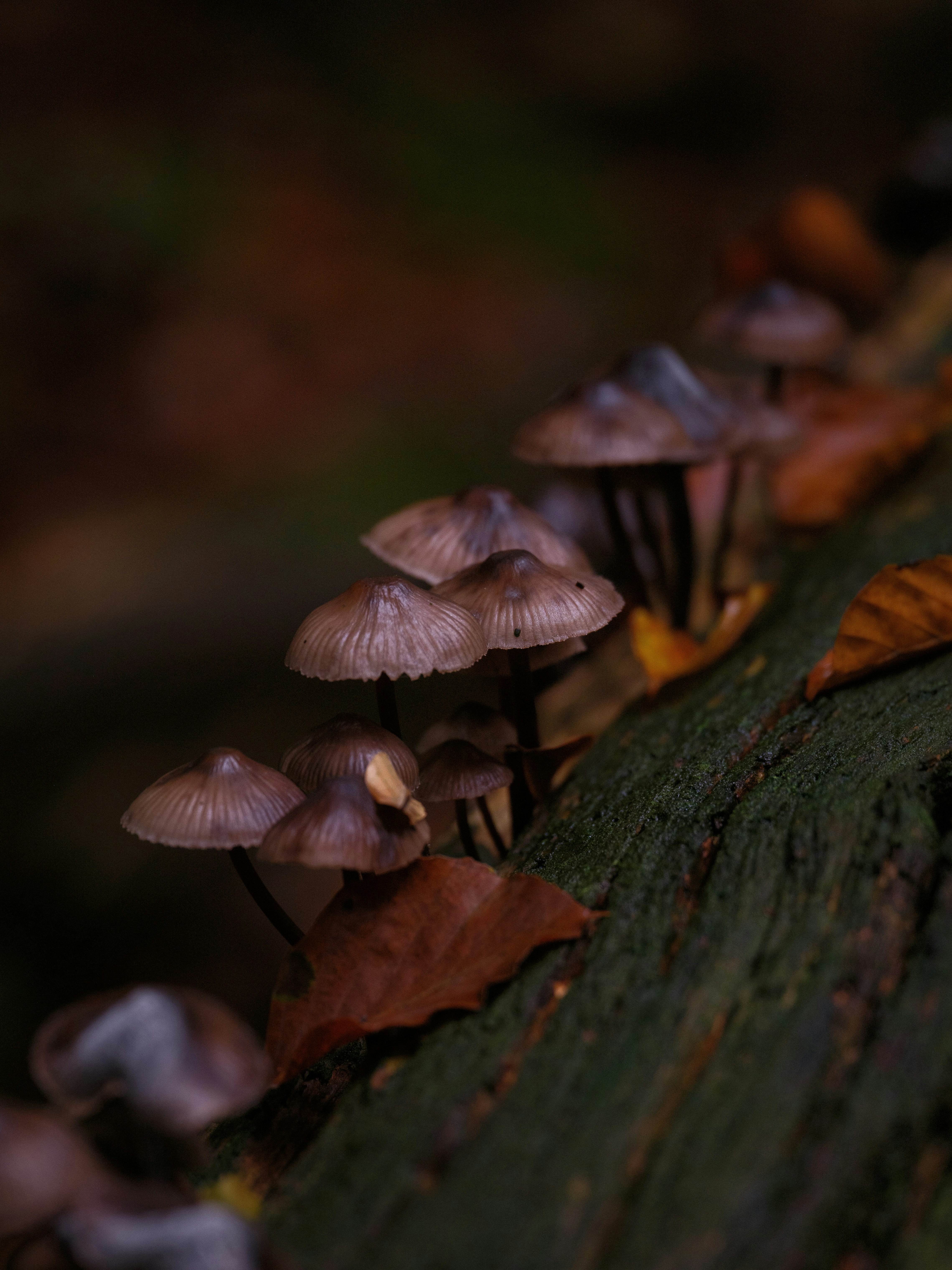 Photo by haberdoedas