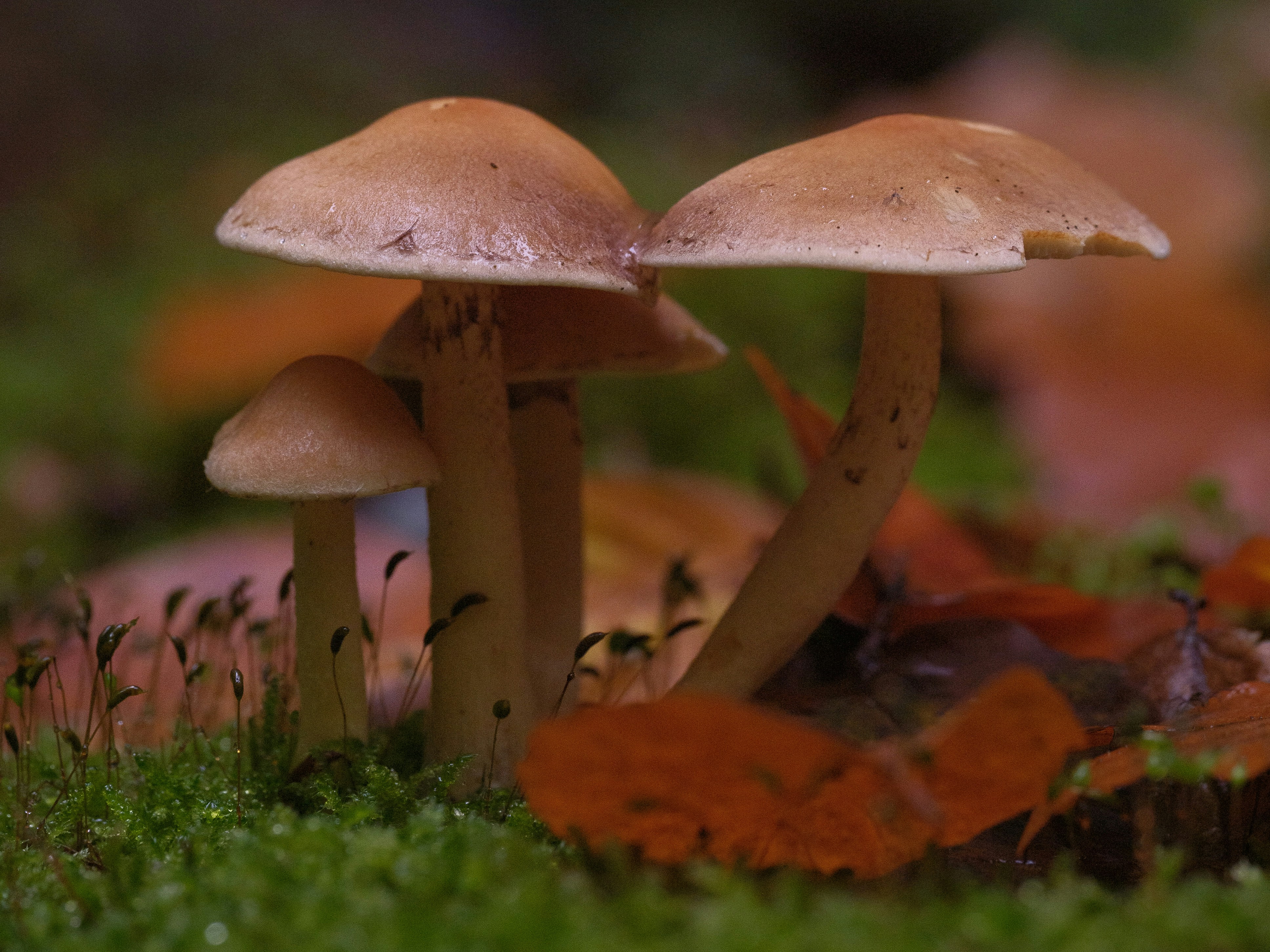 Photo by haberdoedas