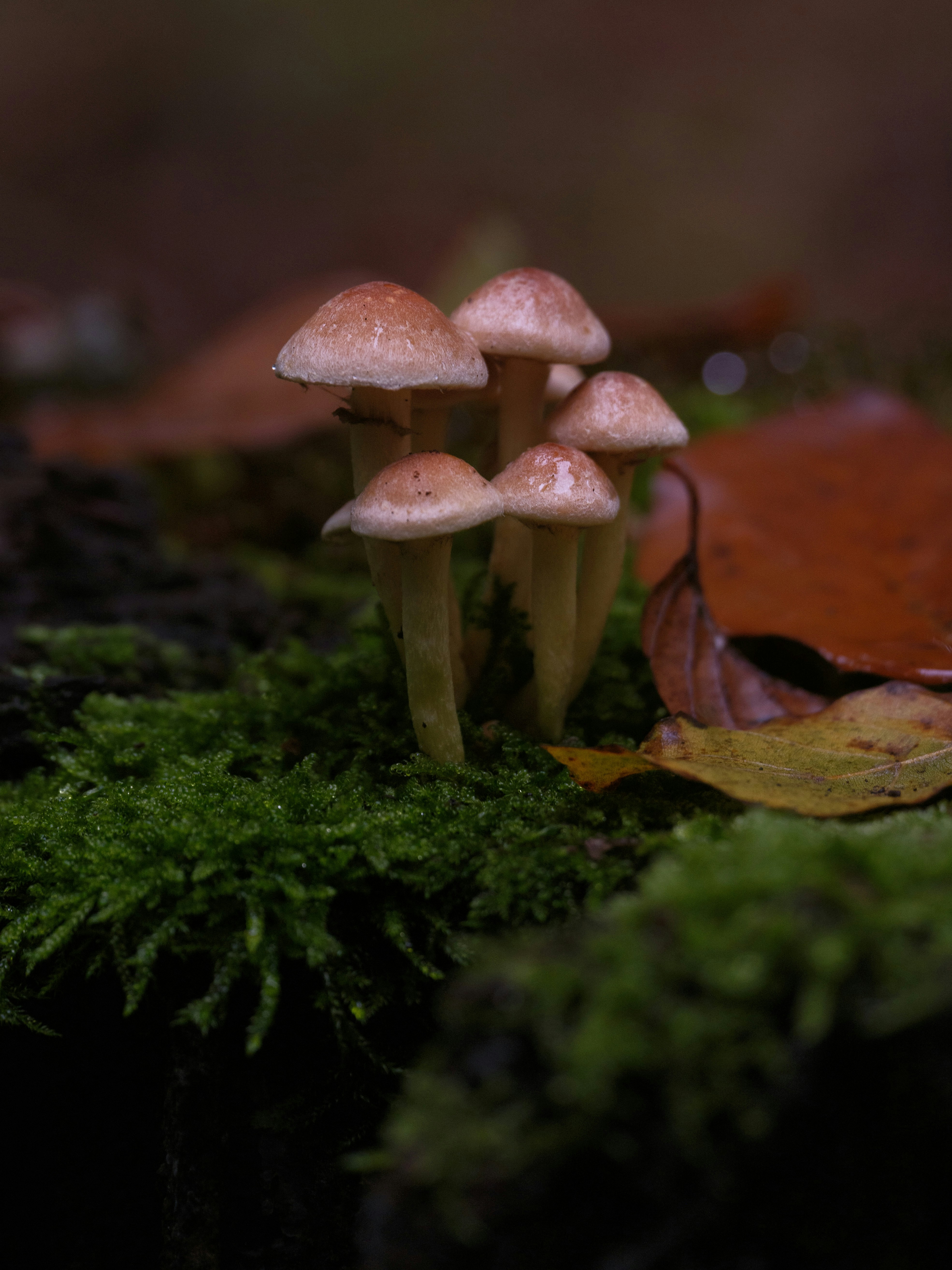 Photo by haberdoedas