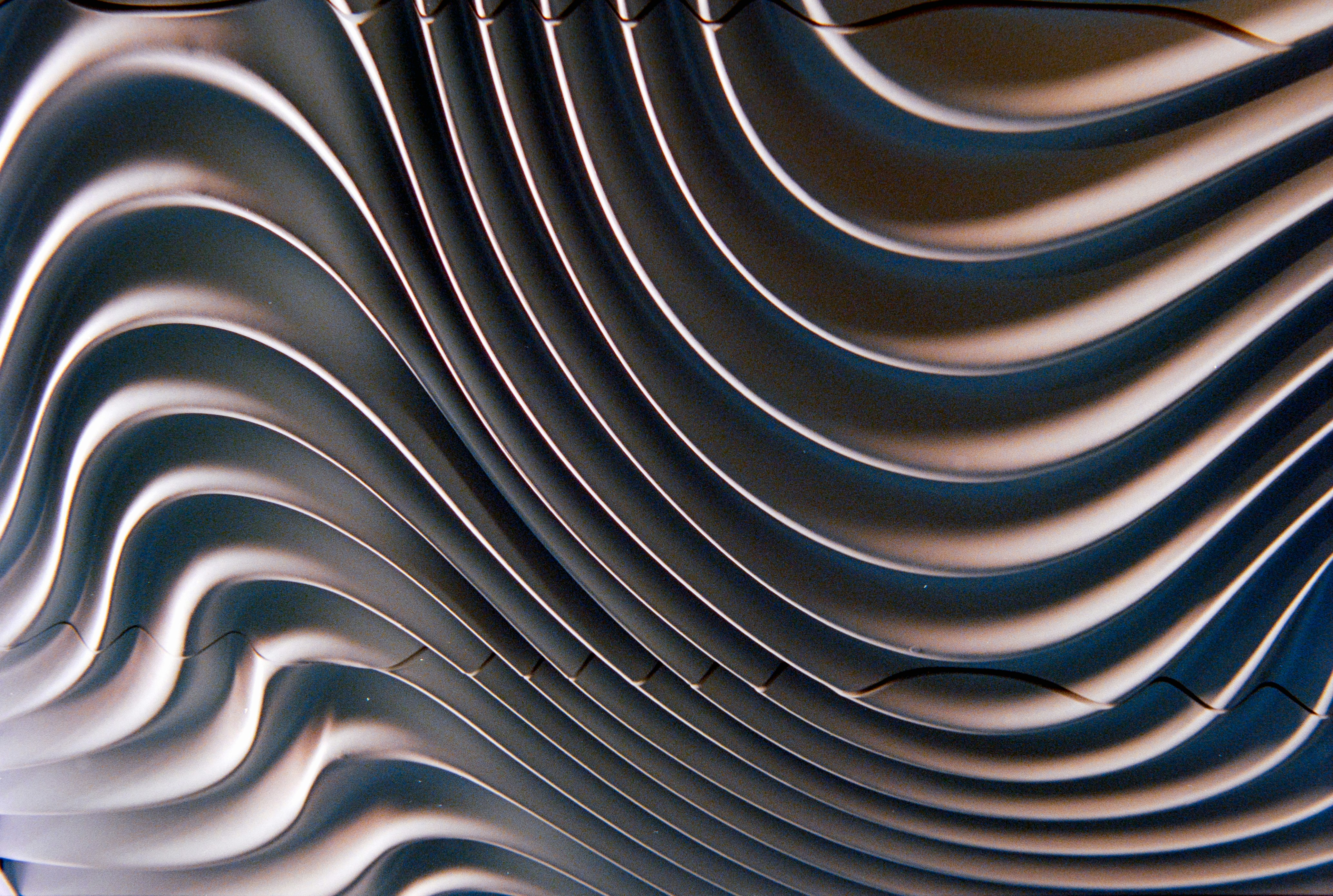 Photo by theguccer2100