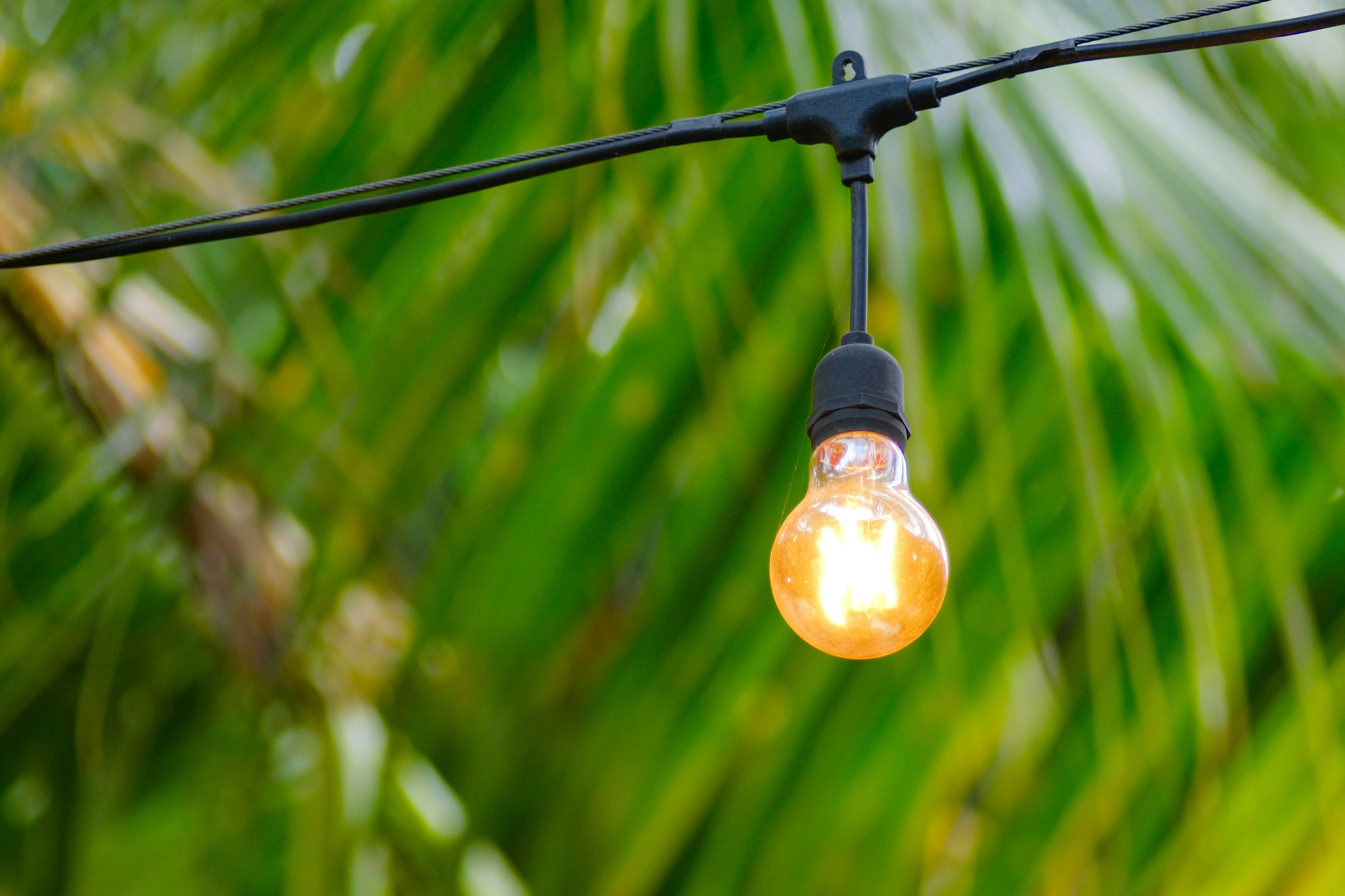 Photo by phuocsangvn